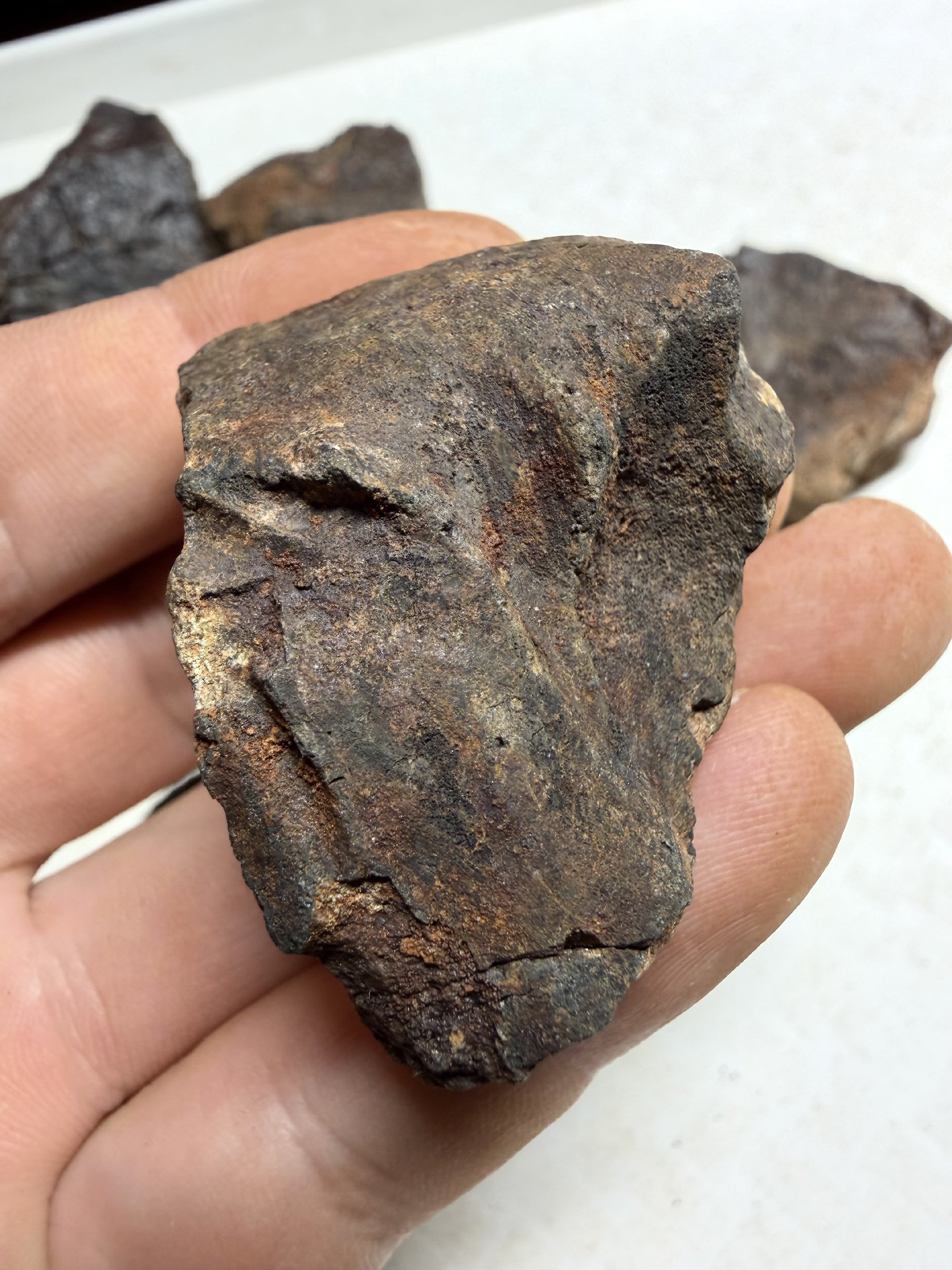 1kg of NWA X stony meteorites – Northwest Africa, 30–200g - VEL36