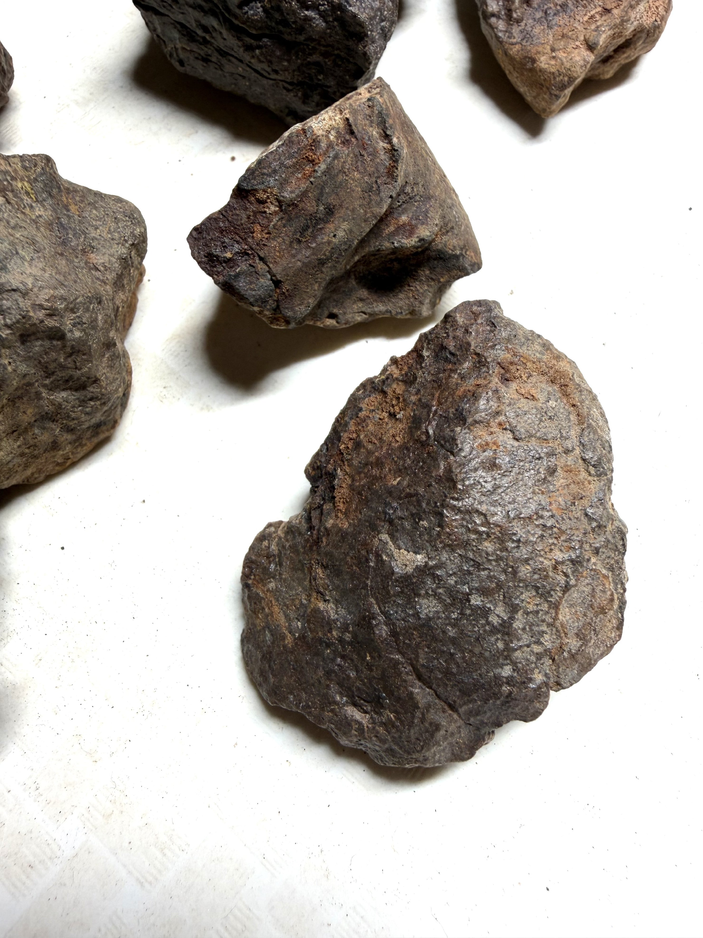 1kg of NWA X stony meteorites – Northwest Africa, 30–200g - VEL36