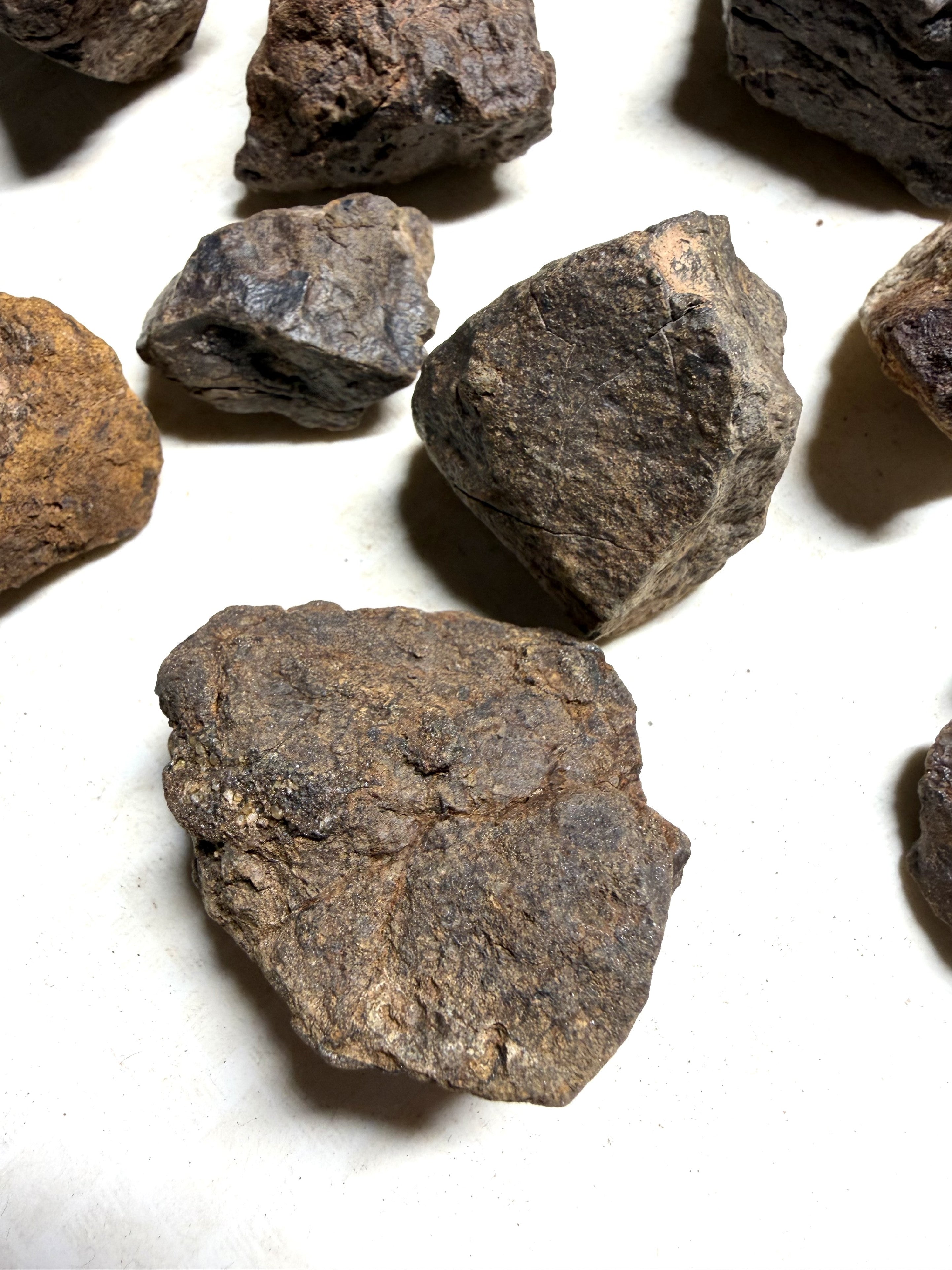 1kg of NWA X stony meteorites – Northwest Africa, 30–200g - VEL36