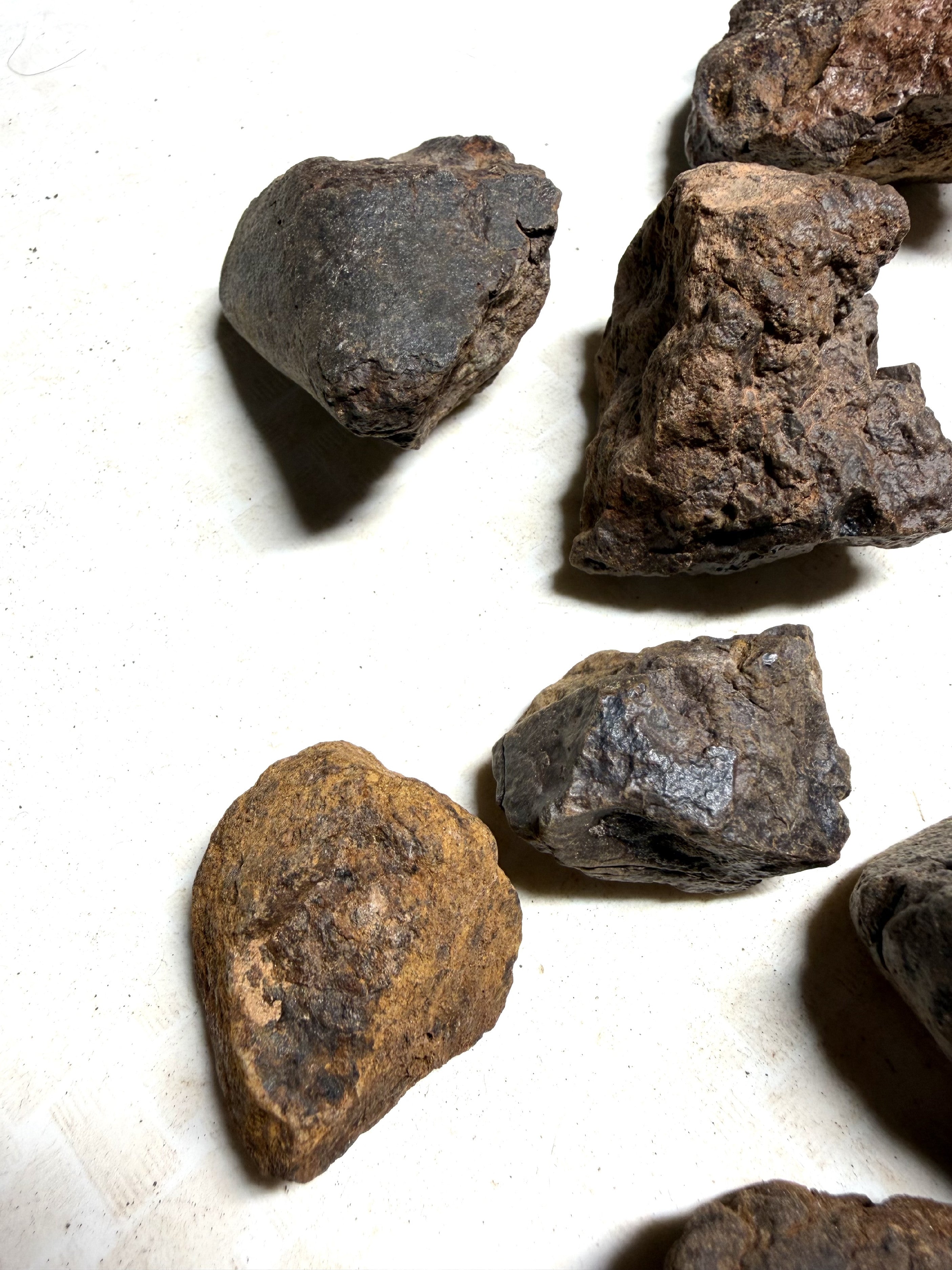1kg of NWA X stony meteorites – Northwest Africa, 30–200g - VEL36