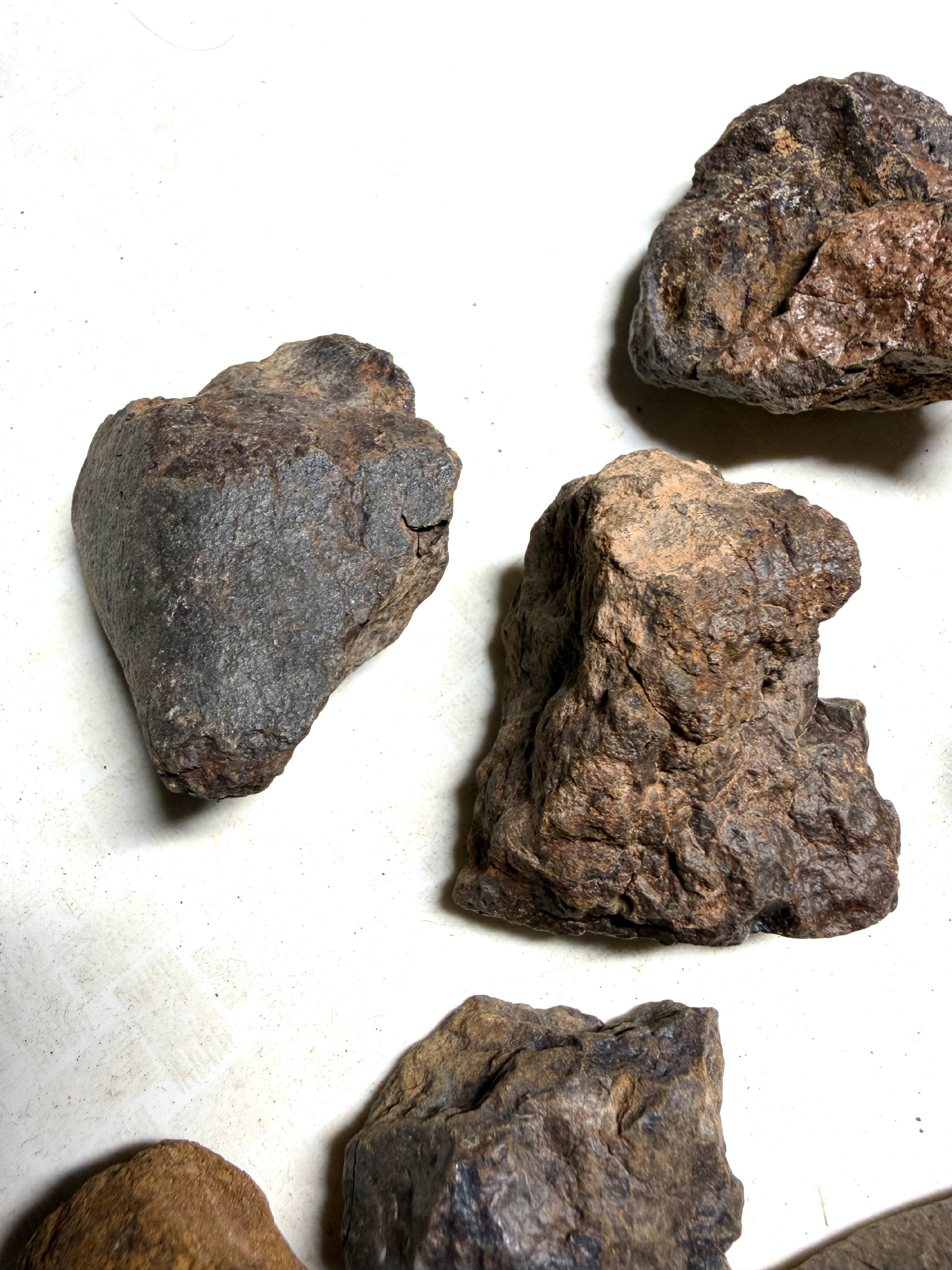 1kg of NWA X stony meteorites – Northwest Africa, 30–200g - VEL36