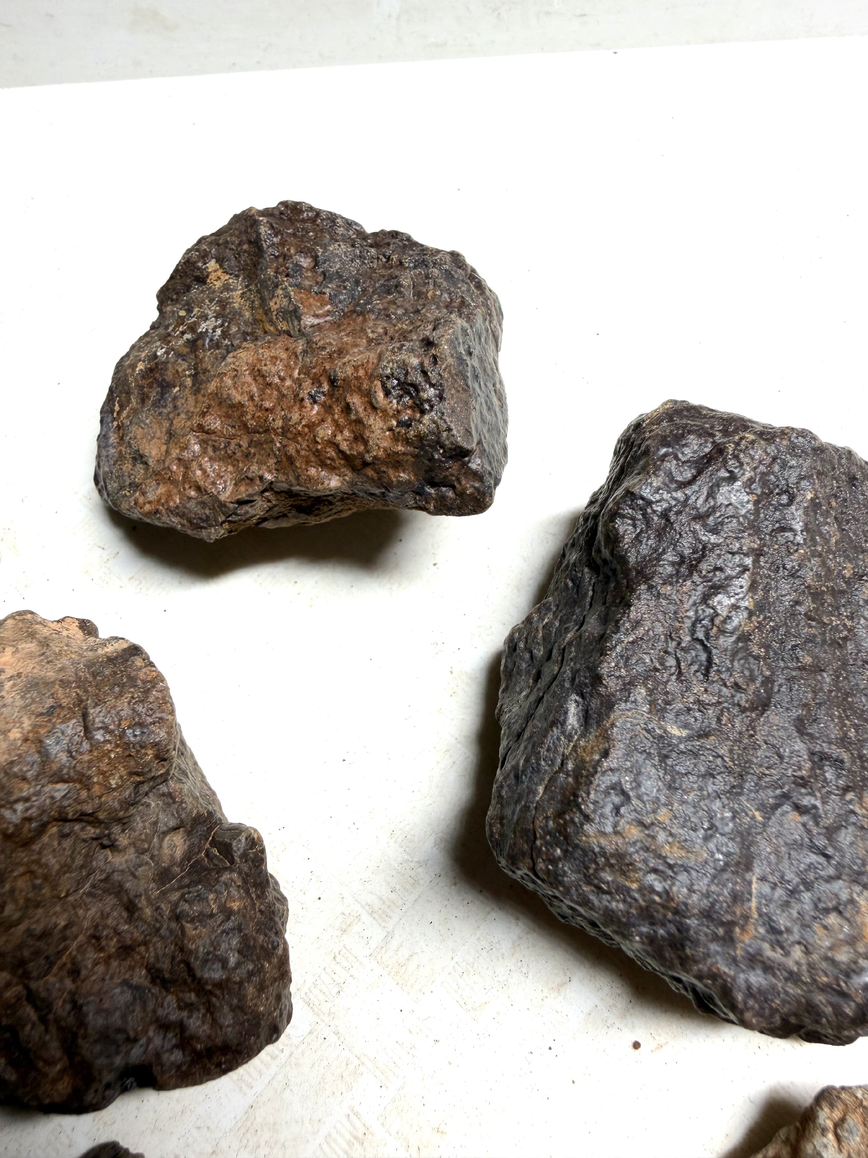 1kg of NWA X stony meteorites – Northwest Africa, 30–200g - VEL36