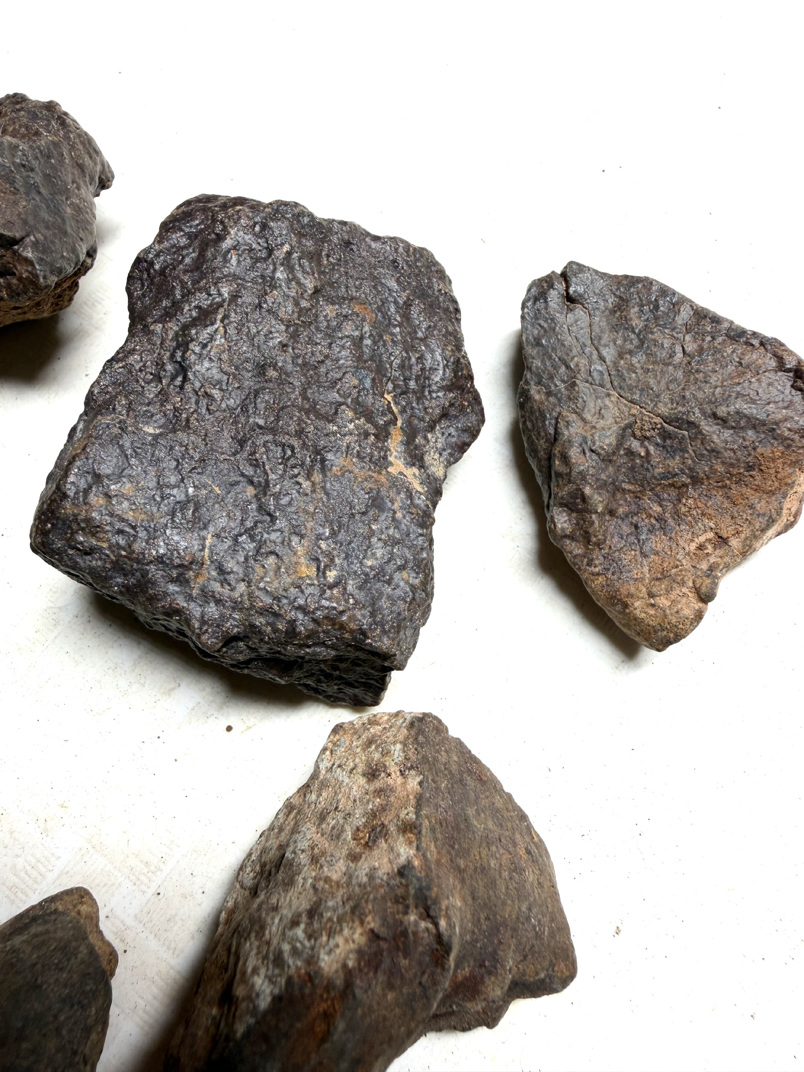 1kg of NWA X stony meteorites – Northwest Africa, 30–200g - VEL36