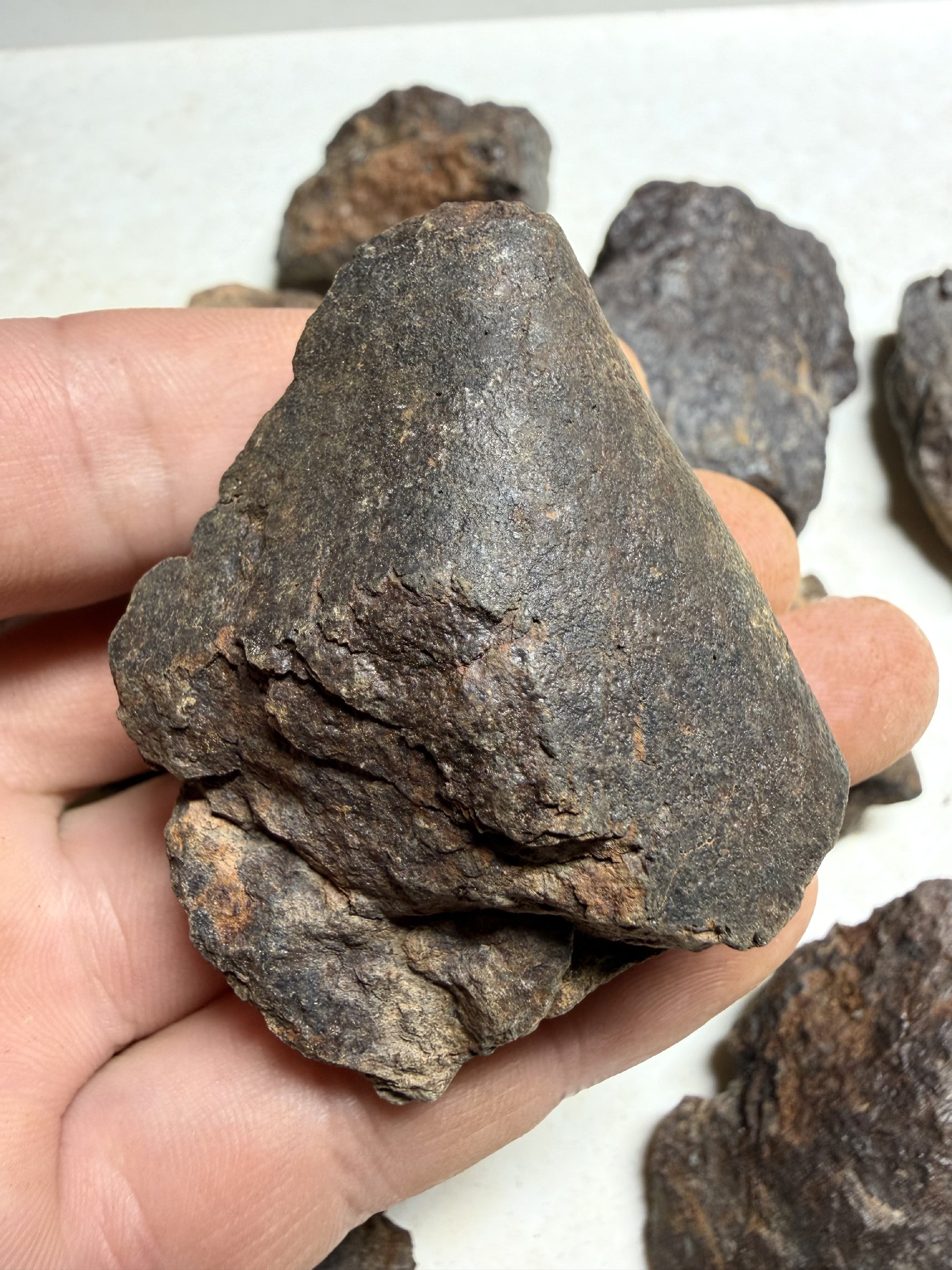 1kg of NWA X stony meteorites – Northwest Africa, 30–200g - VEL36