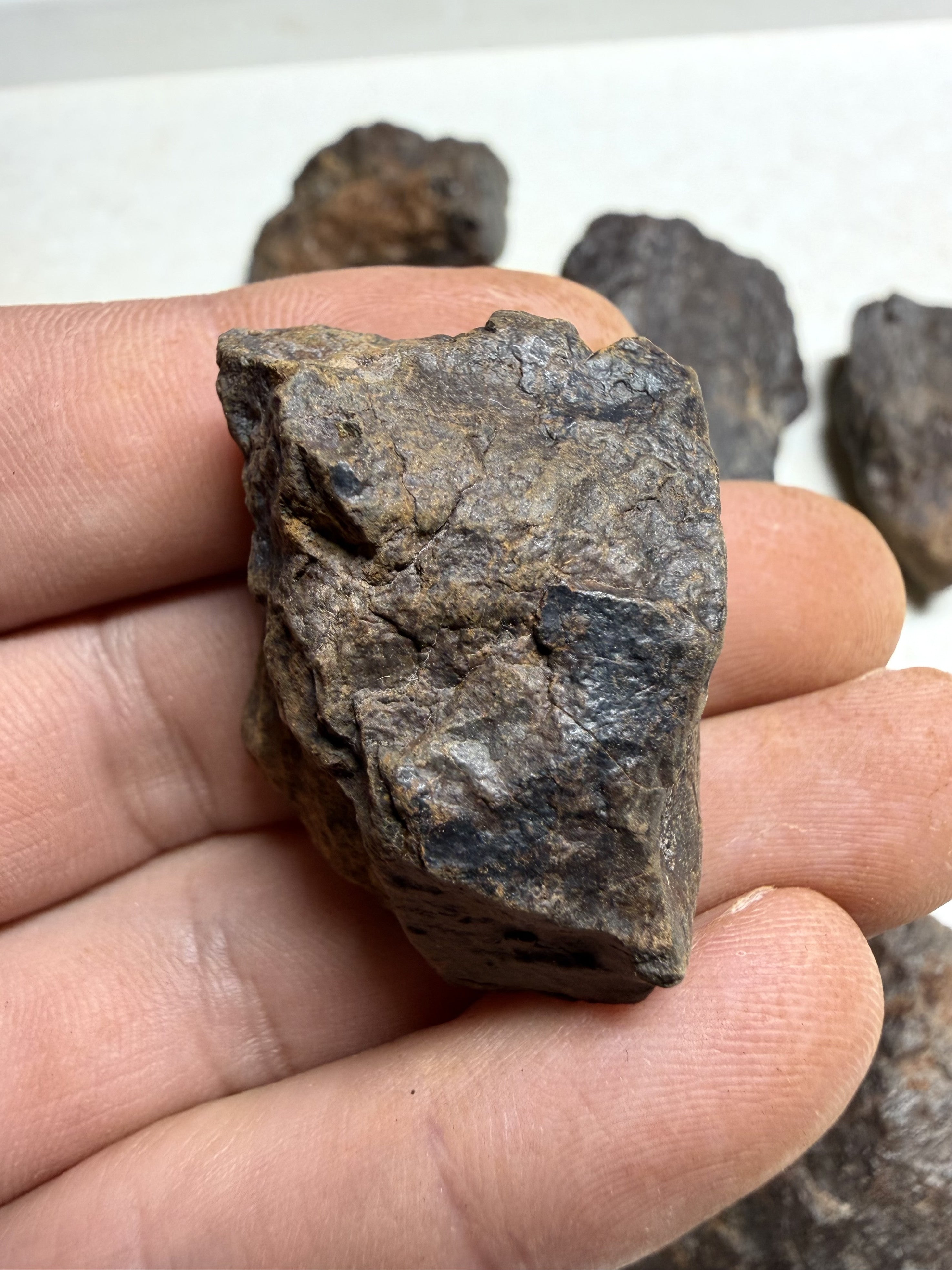 1kg of NWA X stony meteorites – Northwest Africa, 30–200g - VEL36