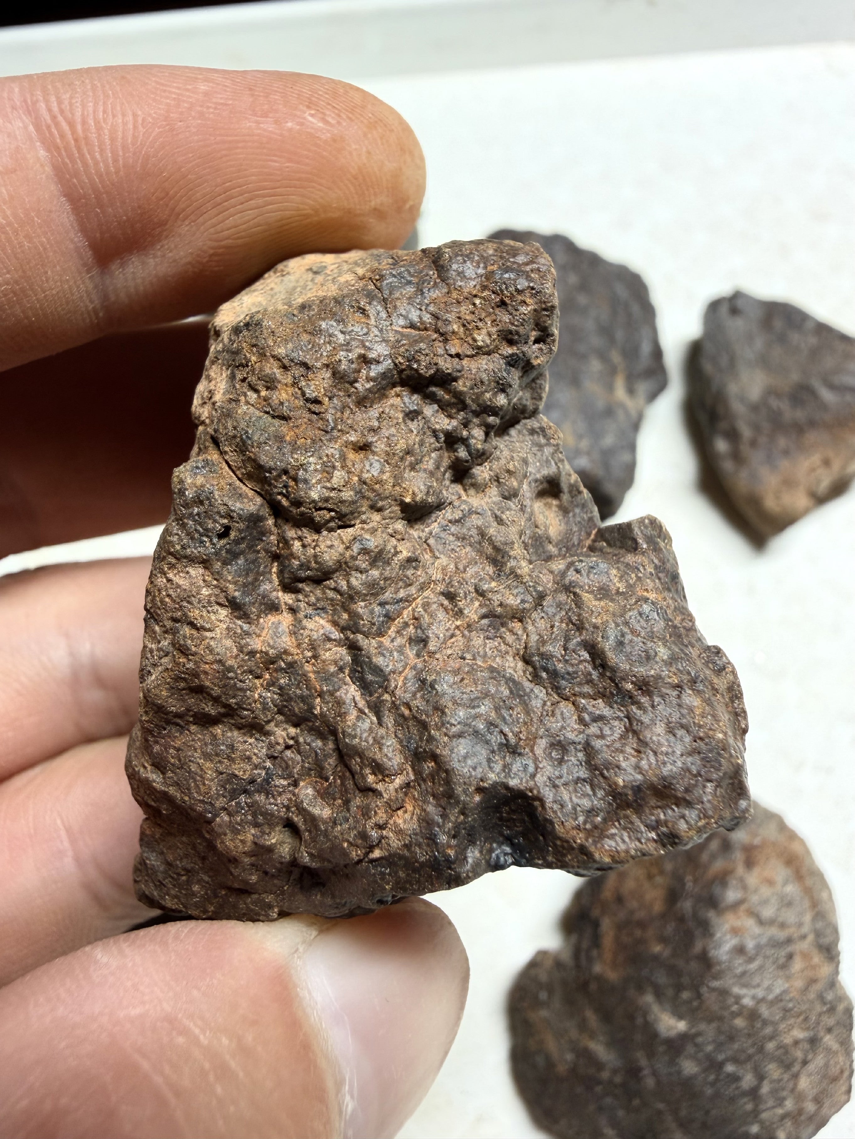 1kg of NWA X stony meteorites – Northwest Africa, 30–200g - VEL36