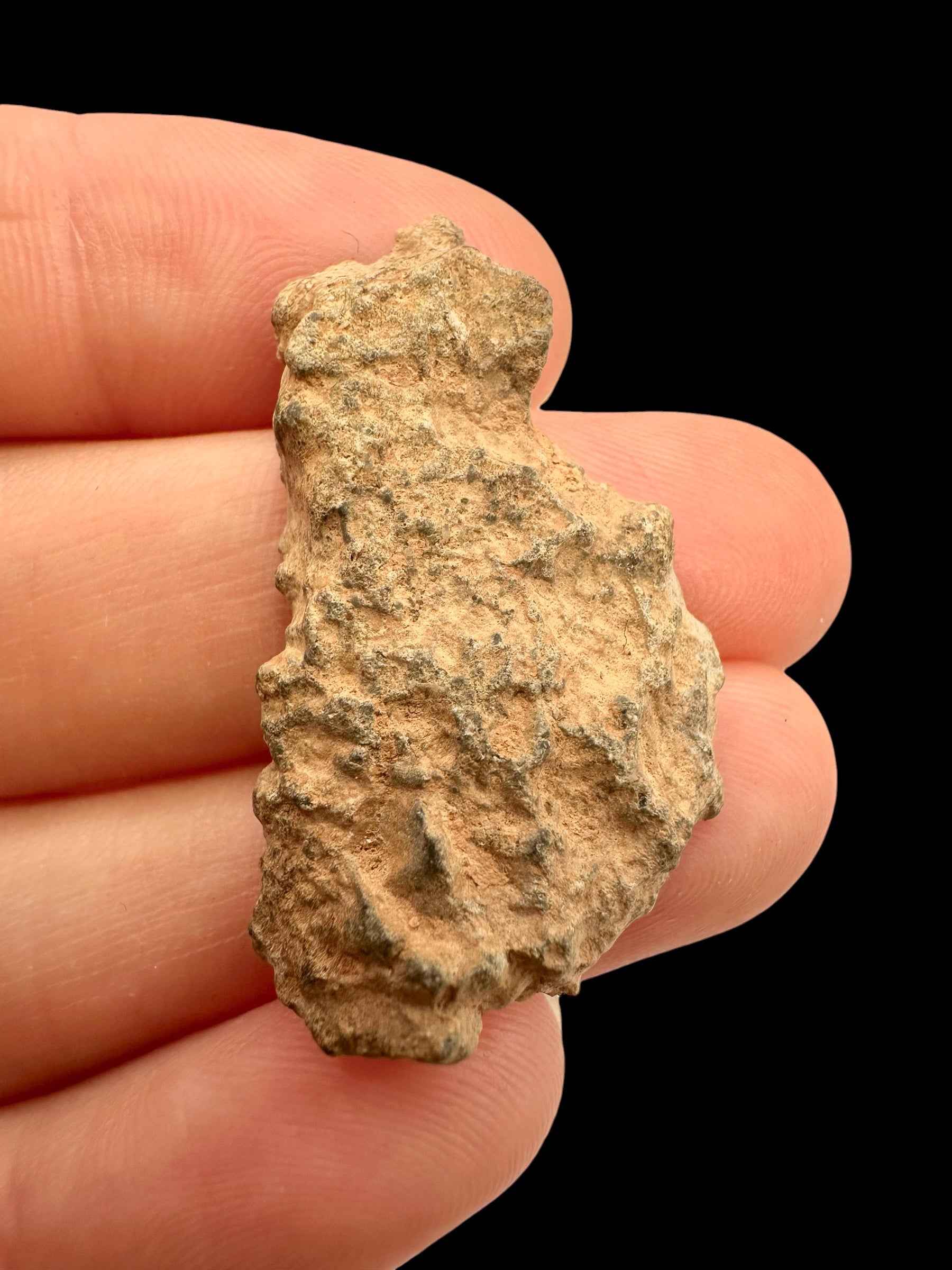 Meteorite lunare Bechar 007 – 5,5g – Algeria / endcut - MEBA178