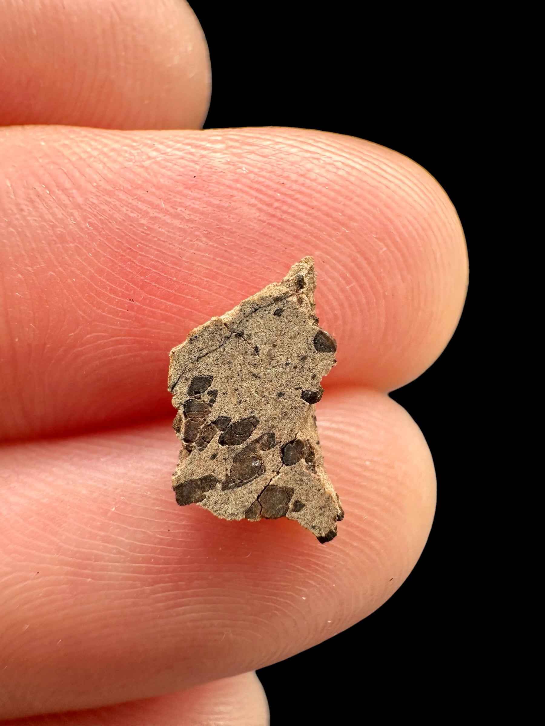 Meteorite Tarkint 001 – 0,2g – Mali - METR01