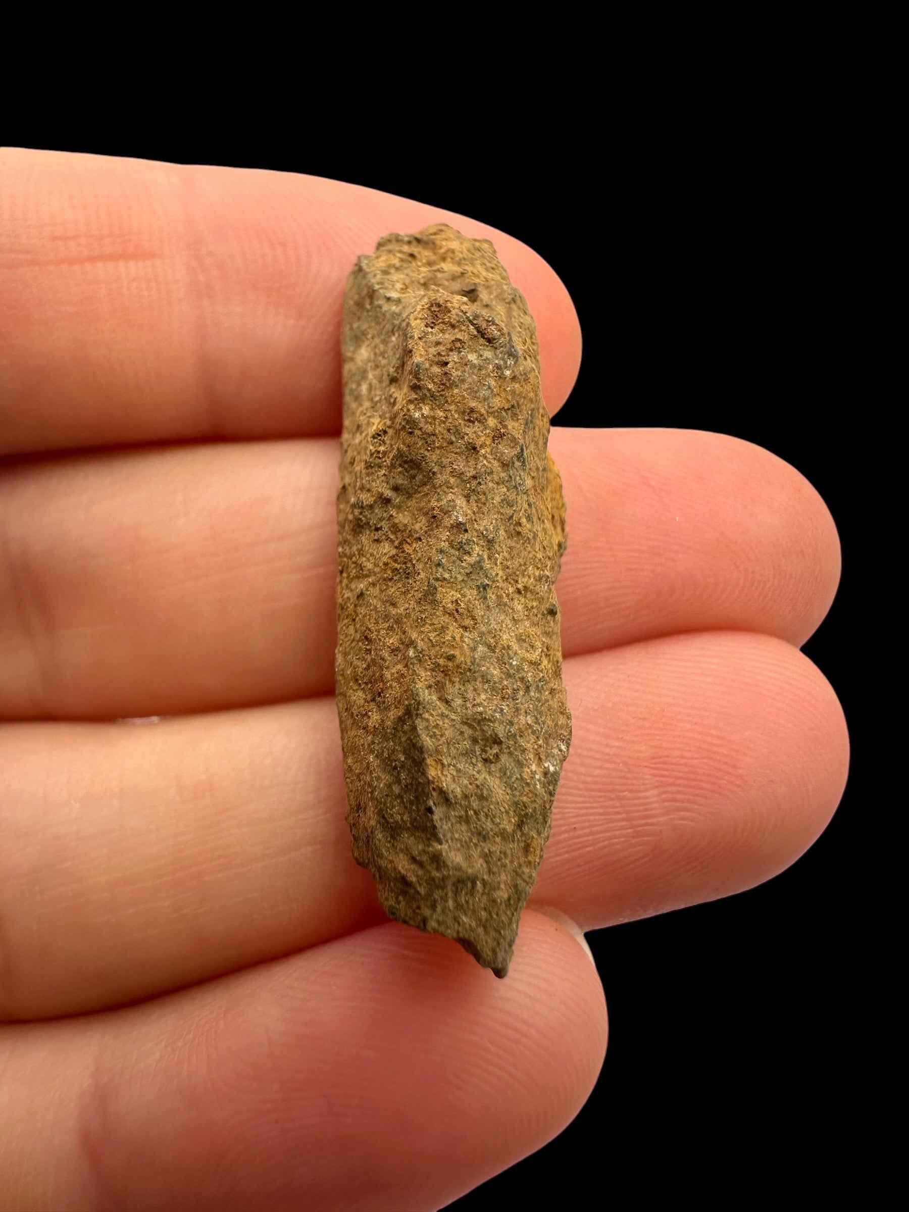 Meteorite Tsarev 7,4g – Volgograd, Russia - METS36