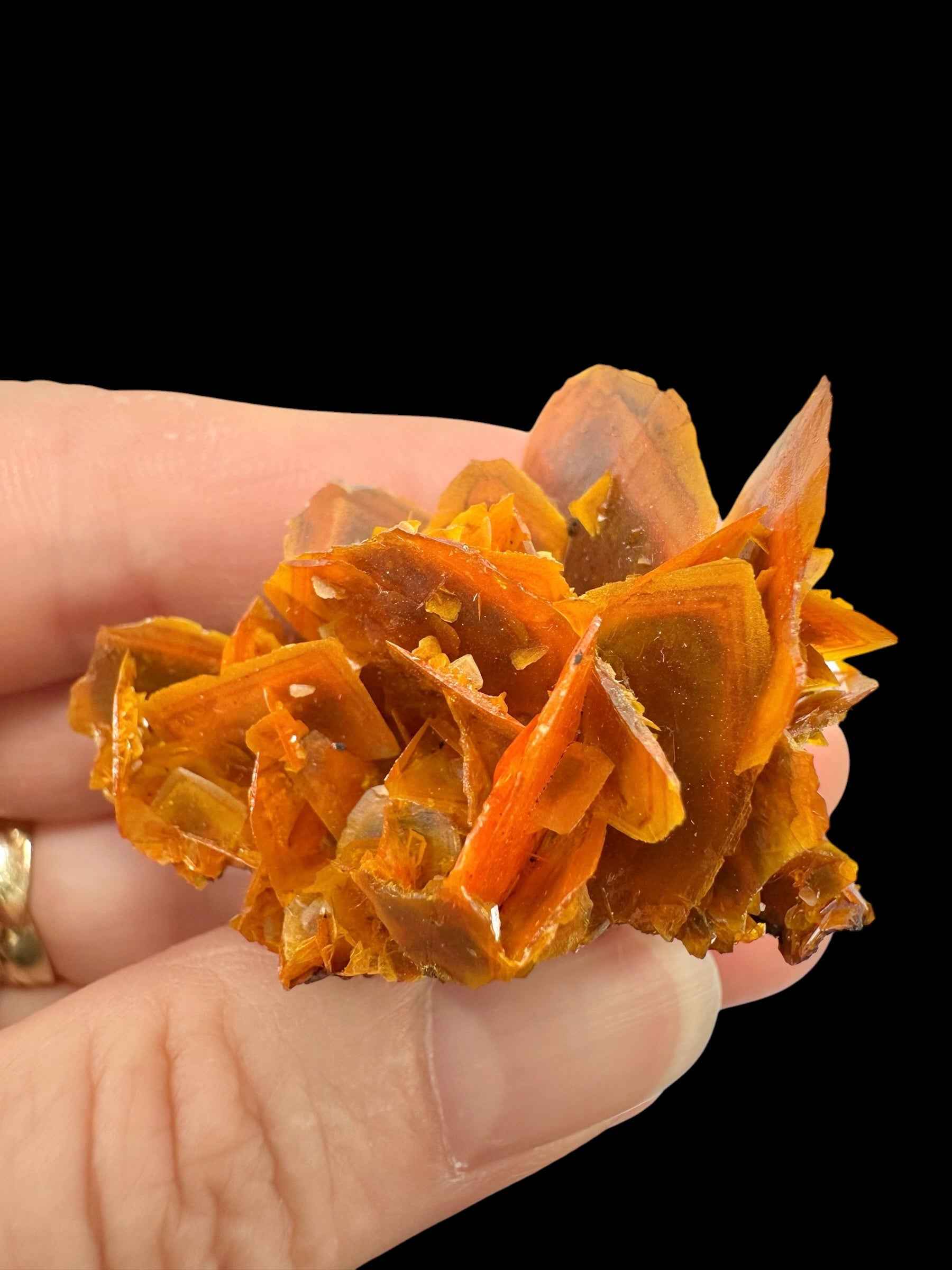 Wulfenite – Kuruktag Mountains – Xinjiang Uygur, China - WY031