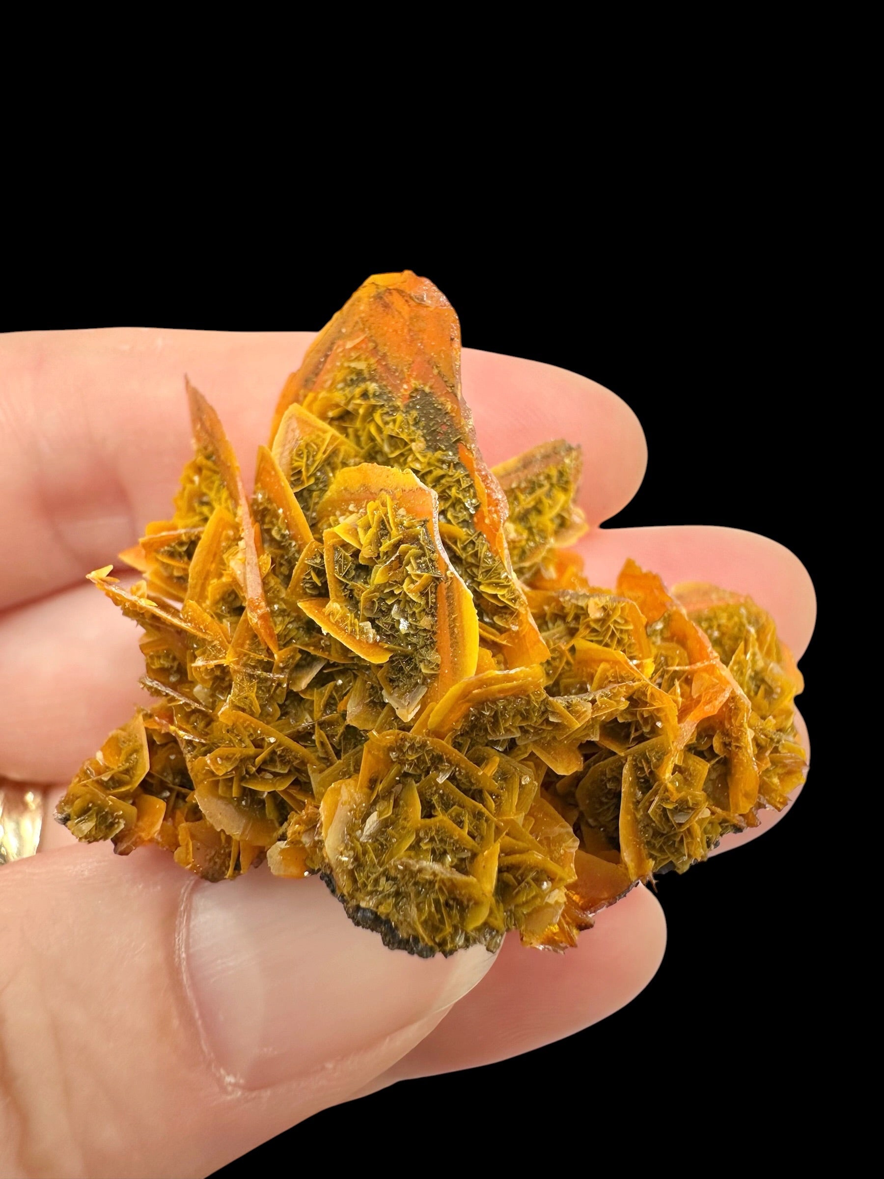 Wulfenite – Kuruktag Mountains – Xinjiang Uygur, China - WY031