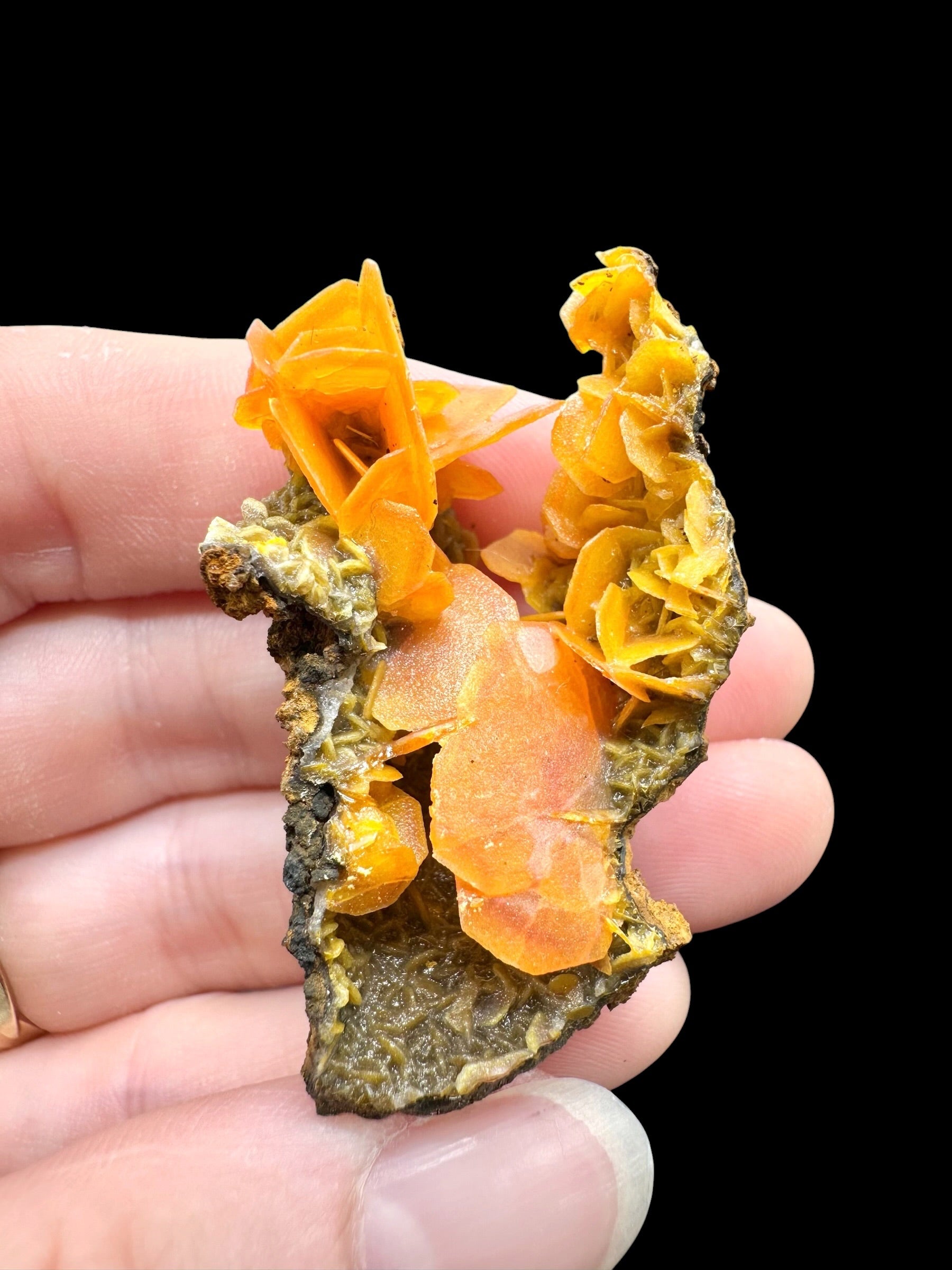 Wulfenite – Kuruktag Mountains – Xinjiang Uygur, China - WY032