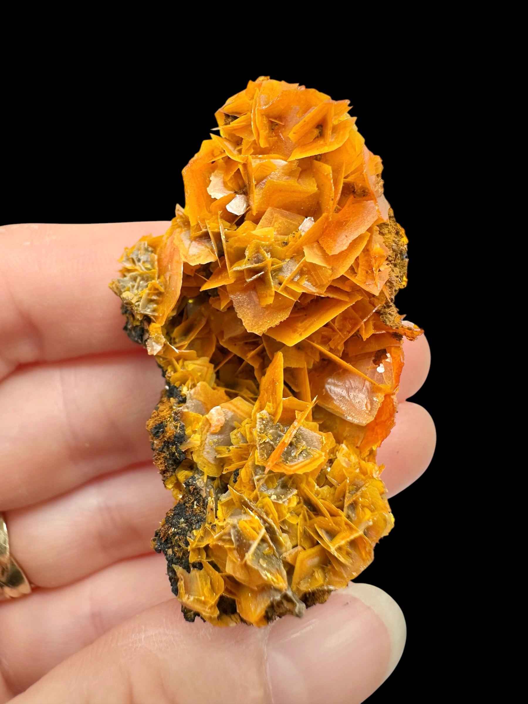 Wulfenite – Kuruktag Mountains – Xinjiang Uygur, China - WY033