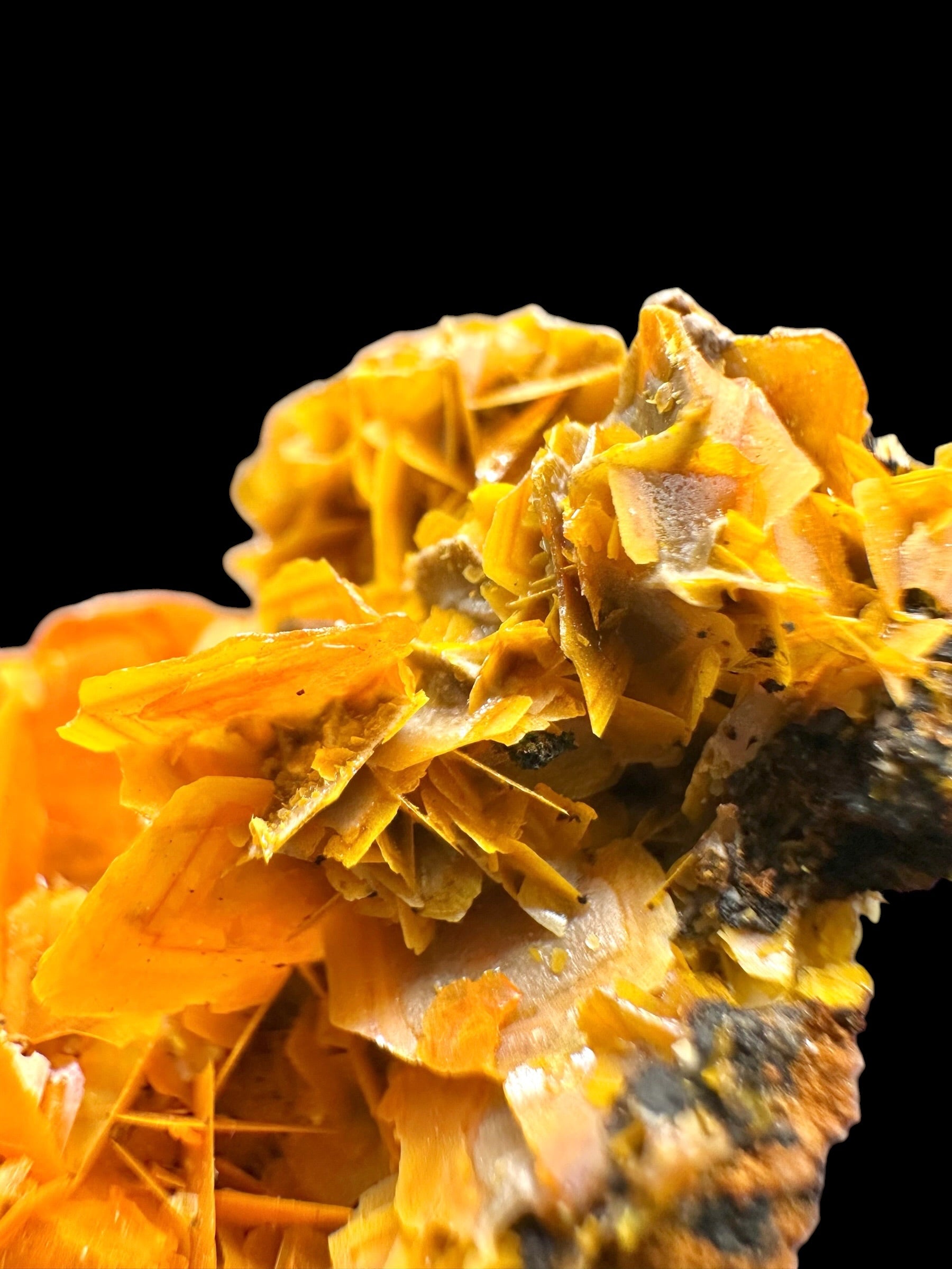 Wulfenite – Kuruktag Mountains – Xinjiang Uygur, China - WY033