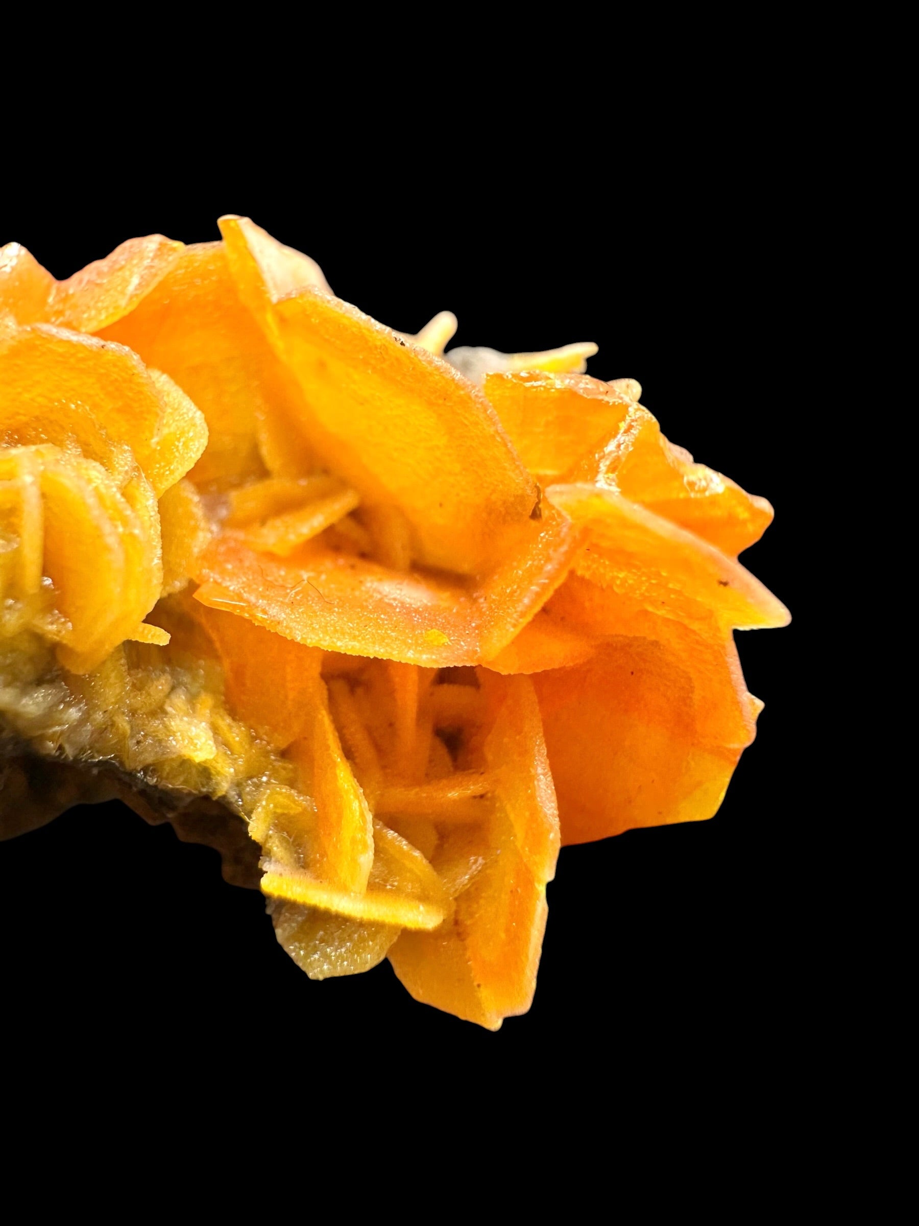 Wulfenite – Kuruktag Mountains – Xinjiang Uygur, China - WY034