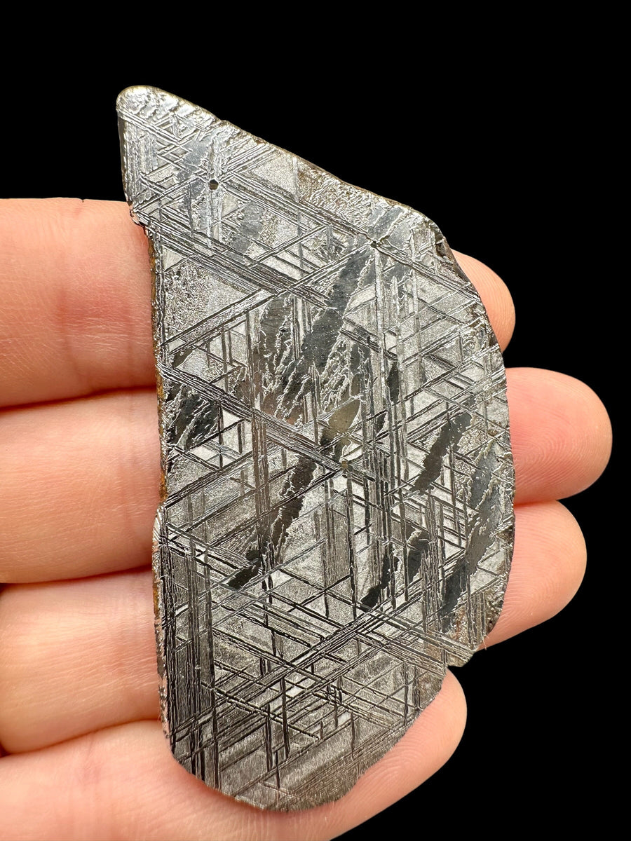 Fetta levigata di meteorite ferroso Muonionalusta con reticolo di Widmanstätten visibile