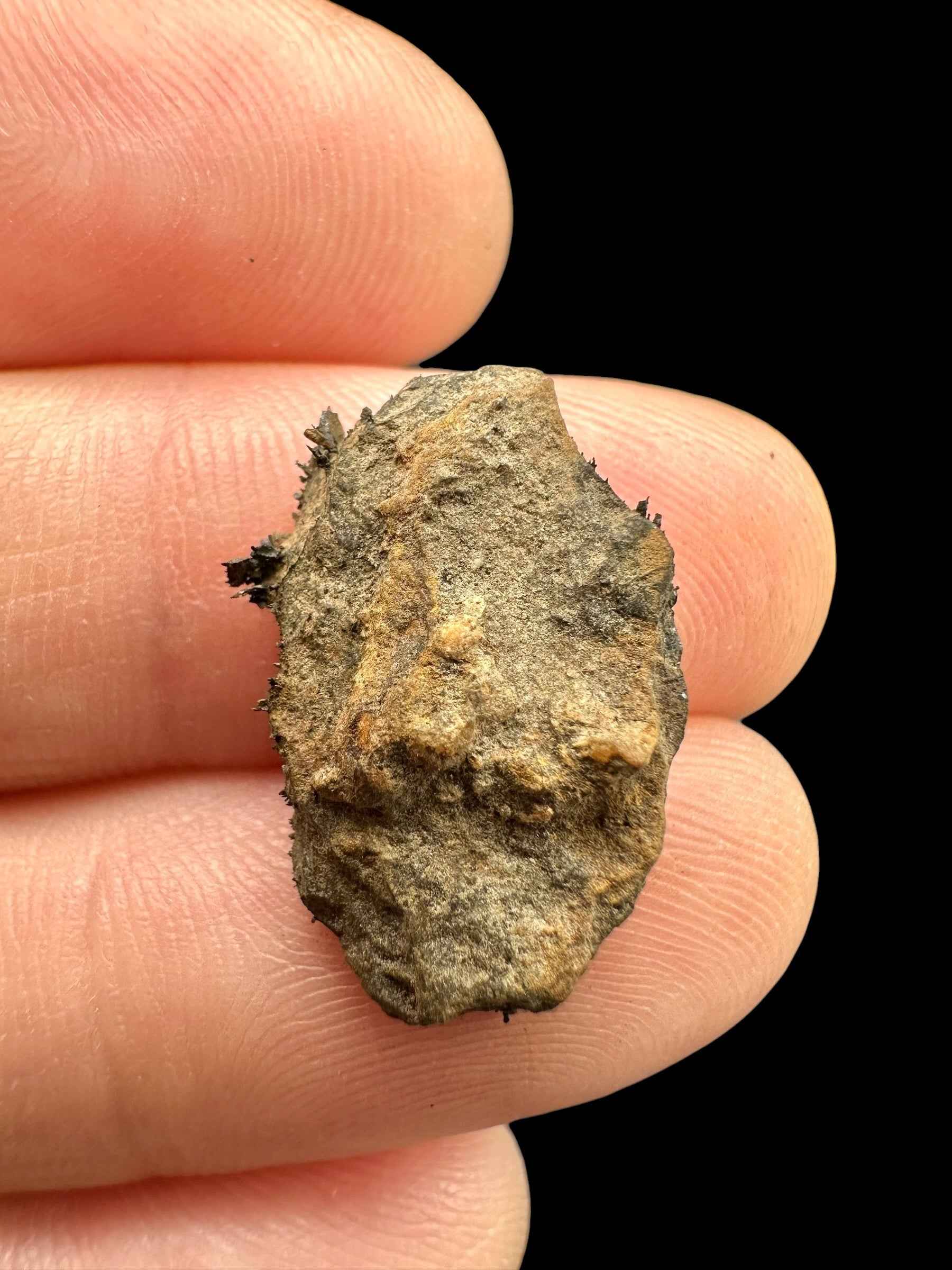 Meteorite Bendegó 1,7g – Brazil - MEBN20