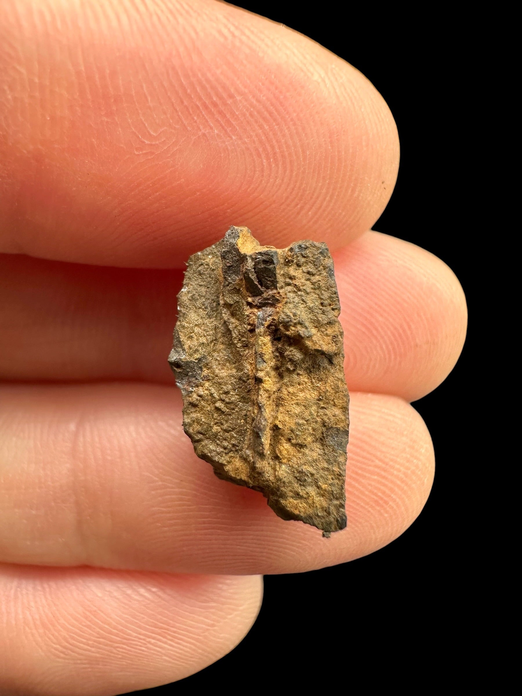 Meteorite Bendegó 1,7g – Brazil - MEBN21