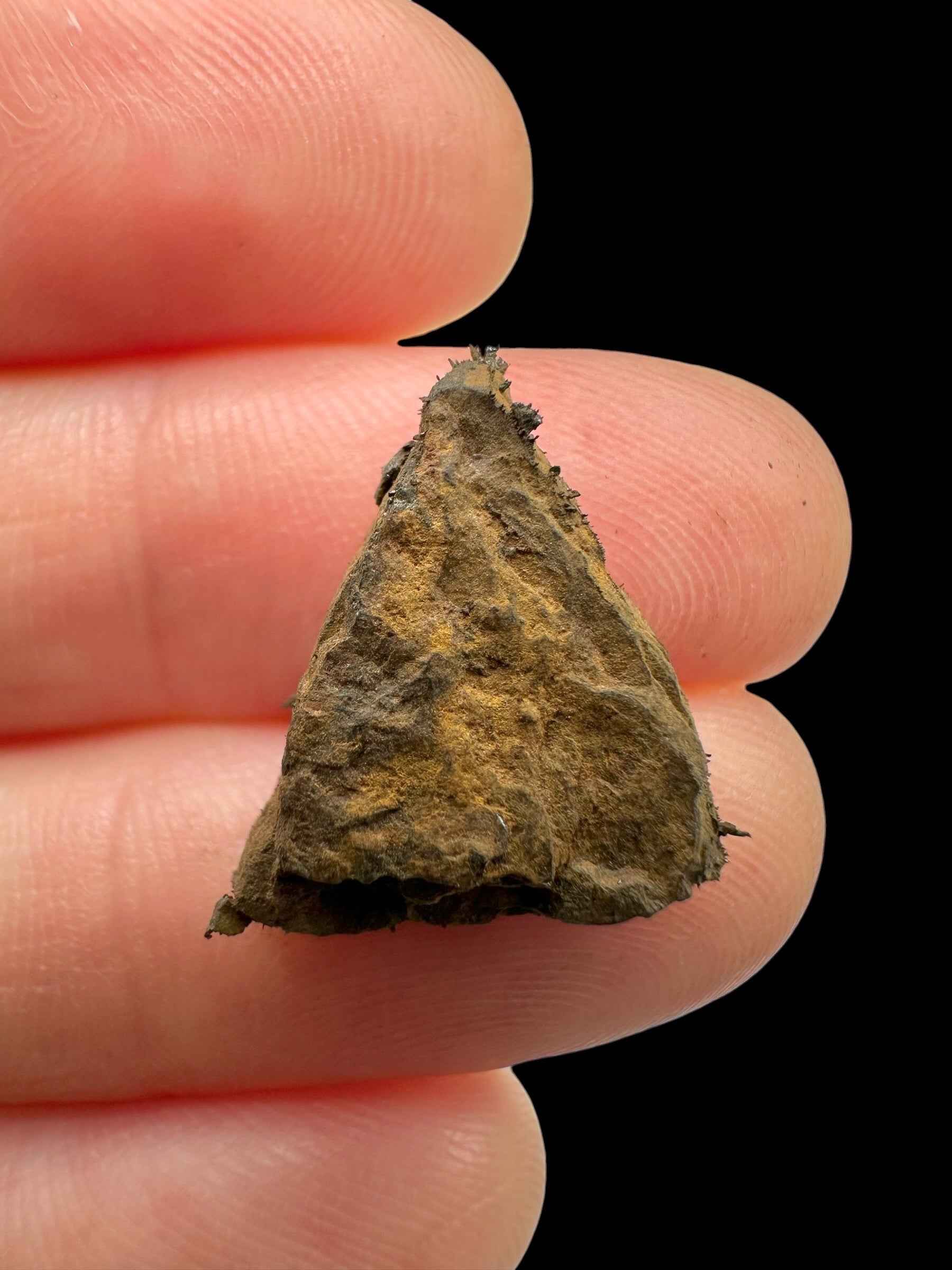Meteorite Bendegó 2,3g – Brazil - MEBN23