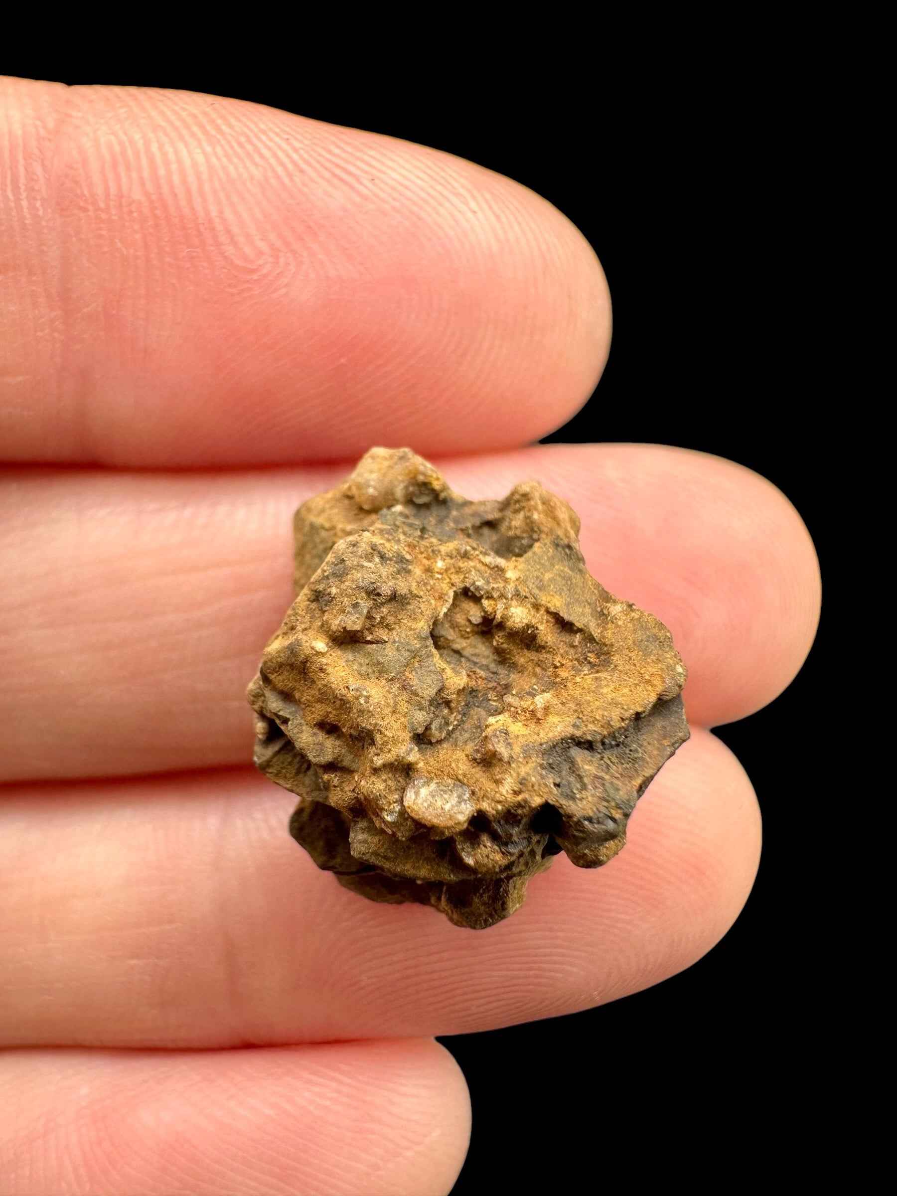 Meteorite Bendegó 2,7g – Brazil - MEBN31