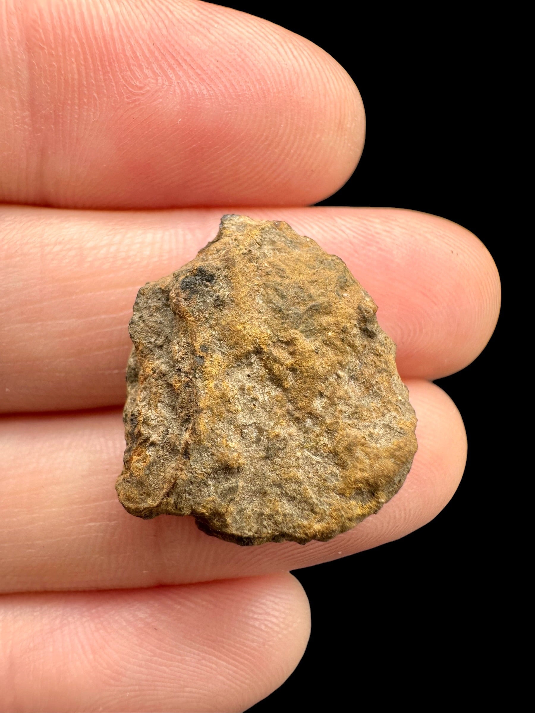 Meteorite Bendegó 3,6g – Brazil - MEBN36