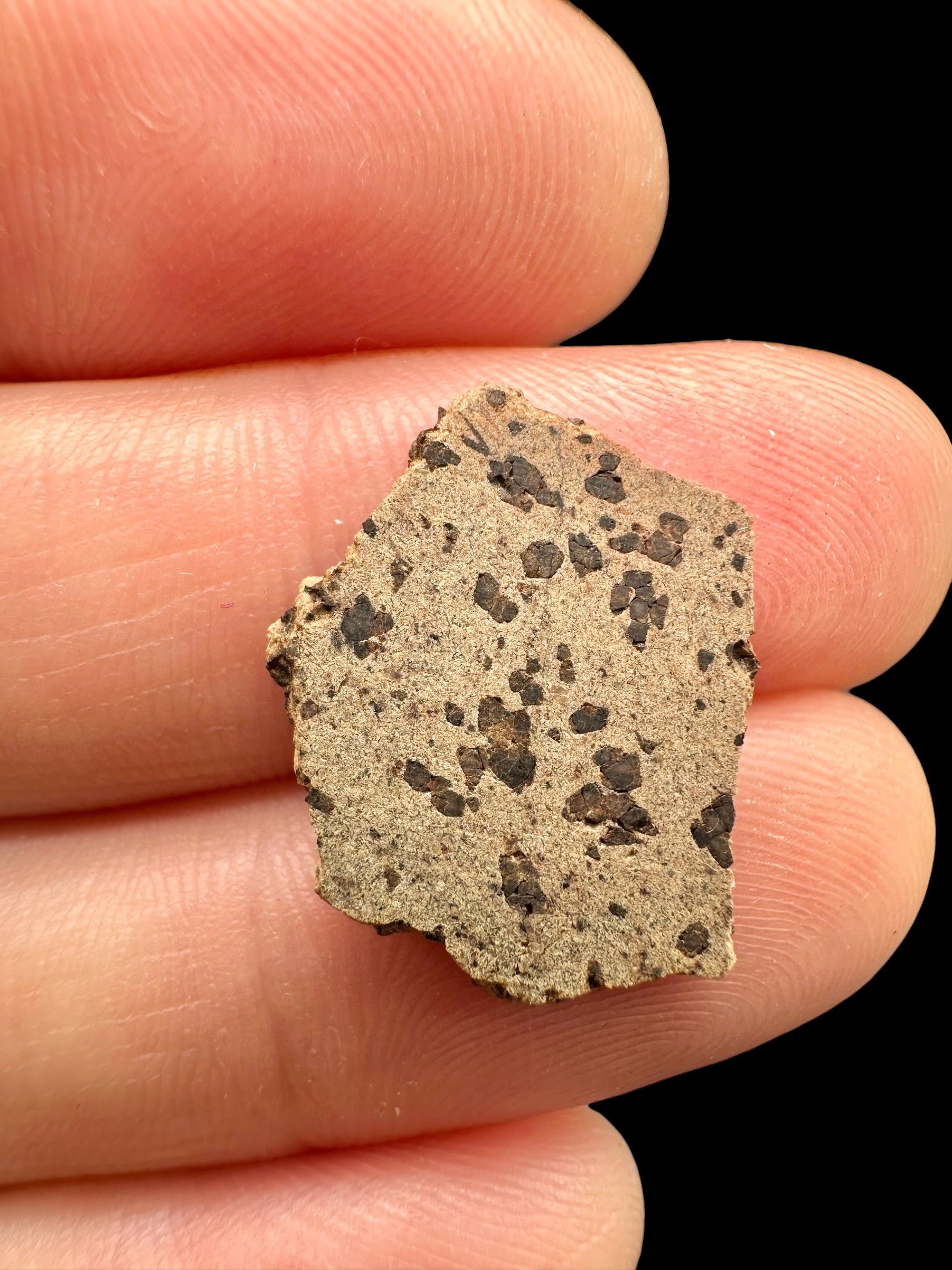 Meteorite Tarkint 001 – 1g – Mali - METR02