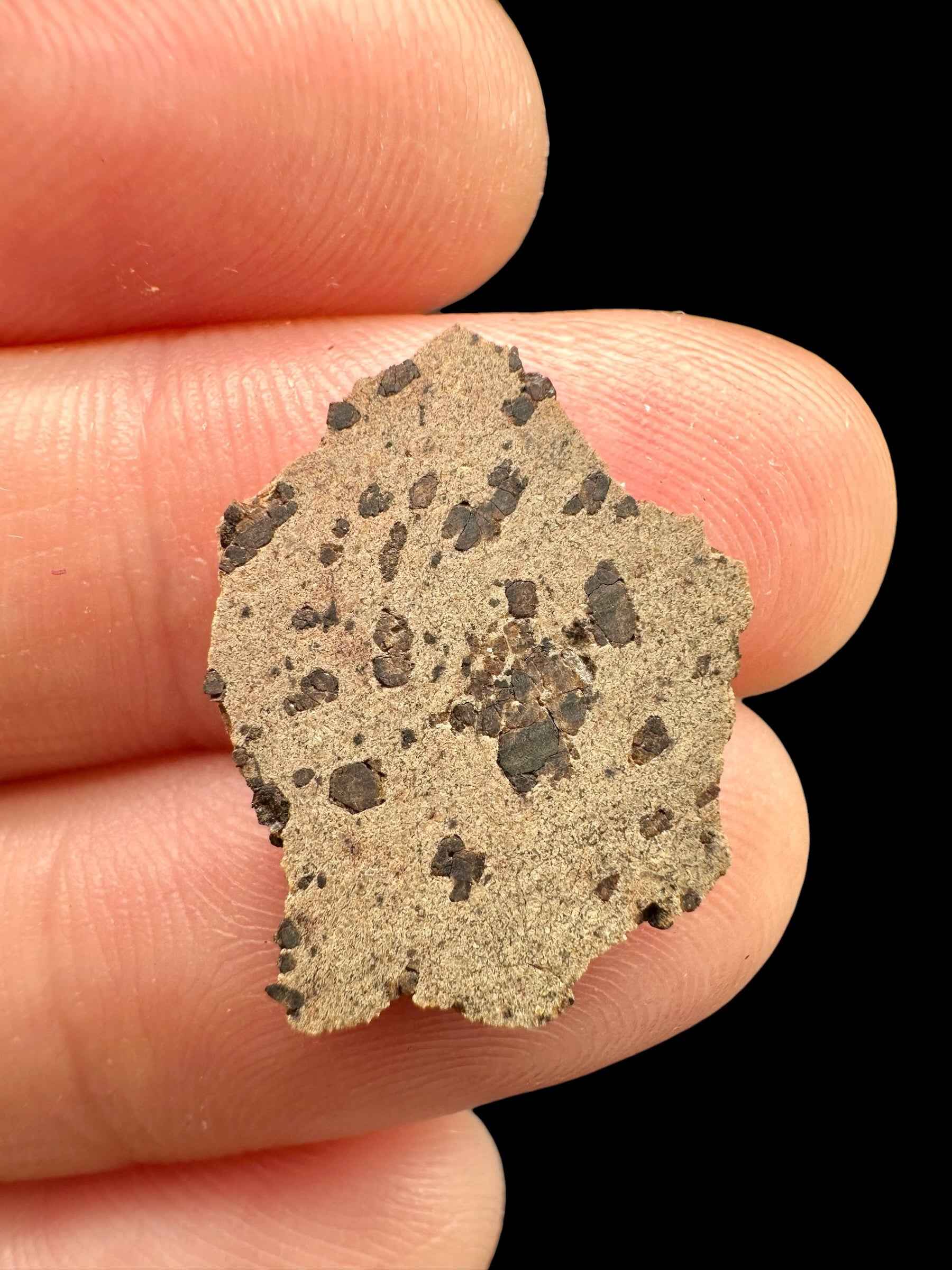 Meteorite Tarkint 001 – 1g – Mali - METR02