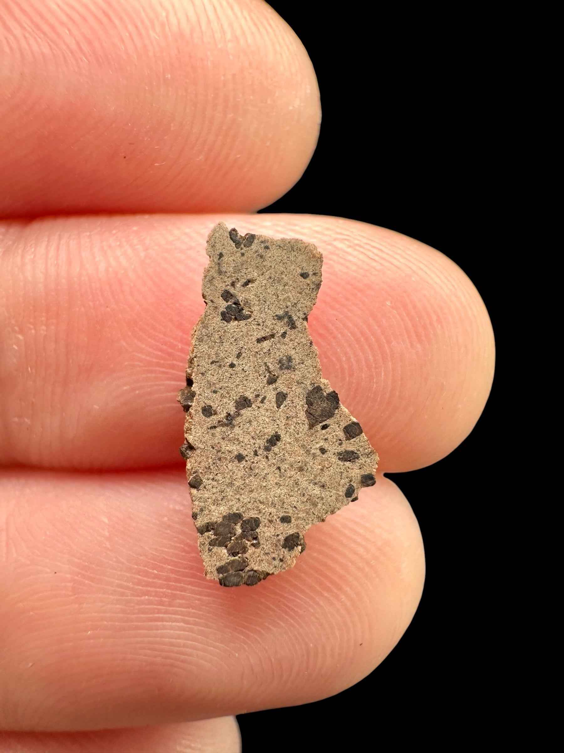 Meteorite Tarkint 001 – 0,4g – Mali - METR03