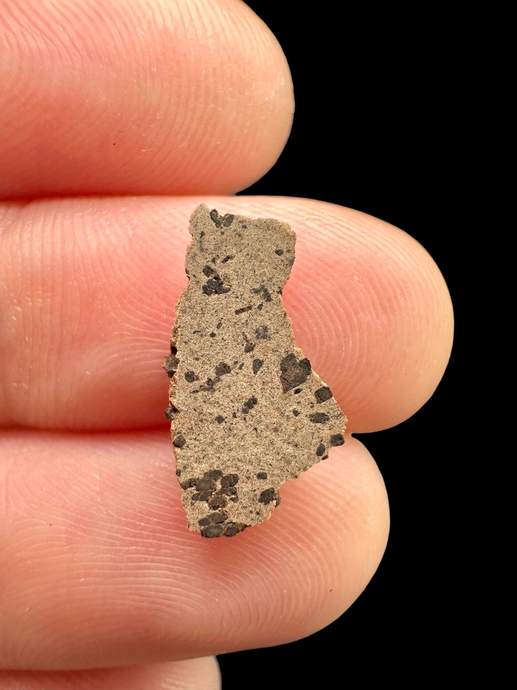 Meteorite Tarkint 001 – 0,4g – Mali - METR03