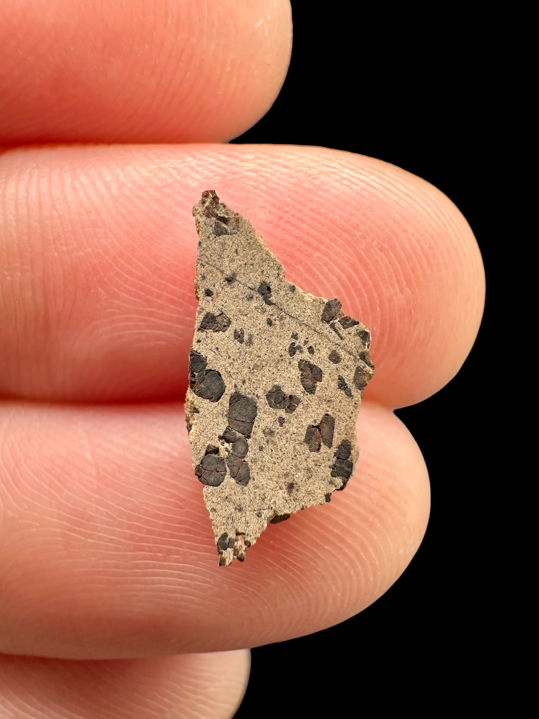 Meteorite Tarkint 001 – 0,3g – Mali - METR05