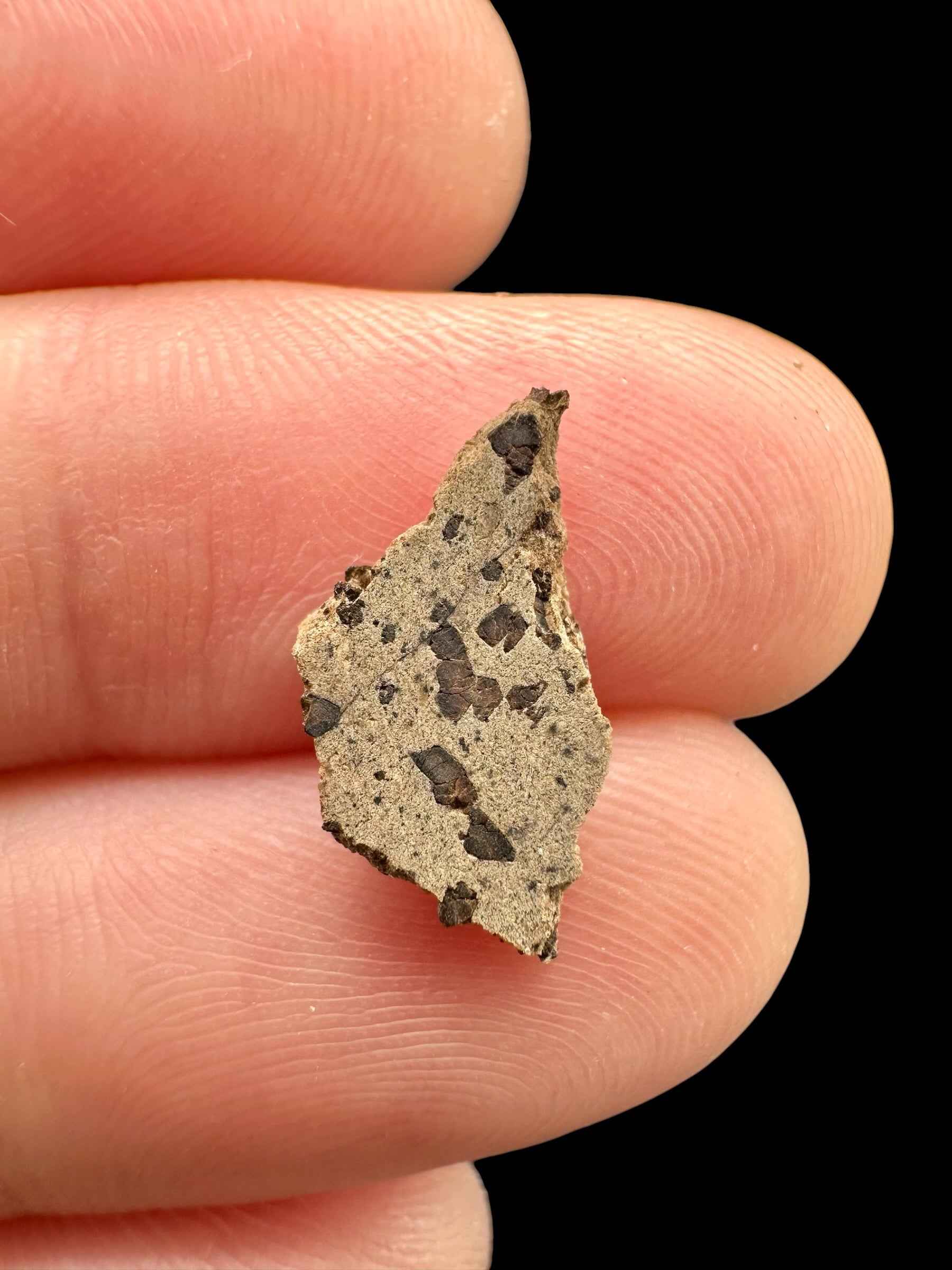Meteorite Tarkint 001 – 0,3g – Mali - METR05