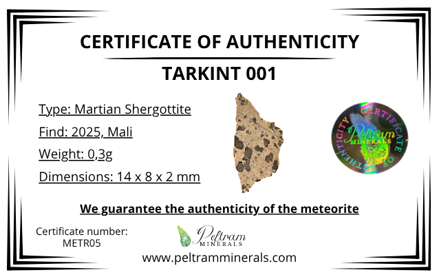 Meteorite Tarkint 001 – 0,3g – Mali - METR05