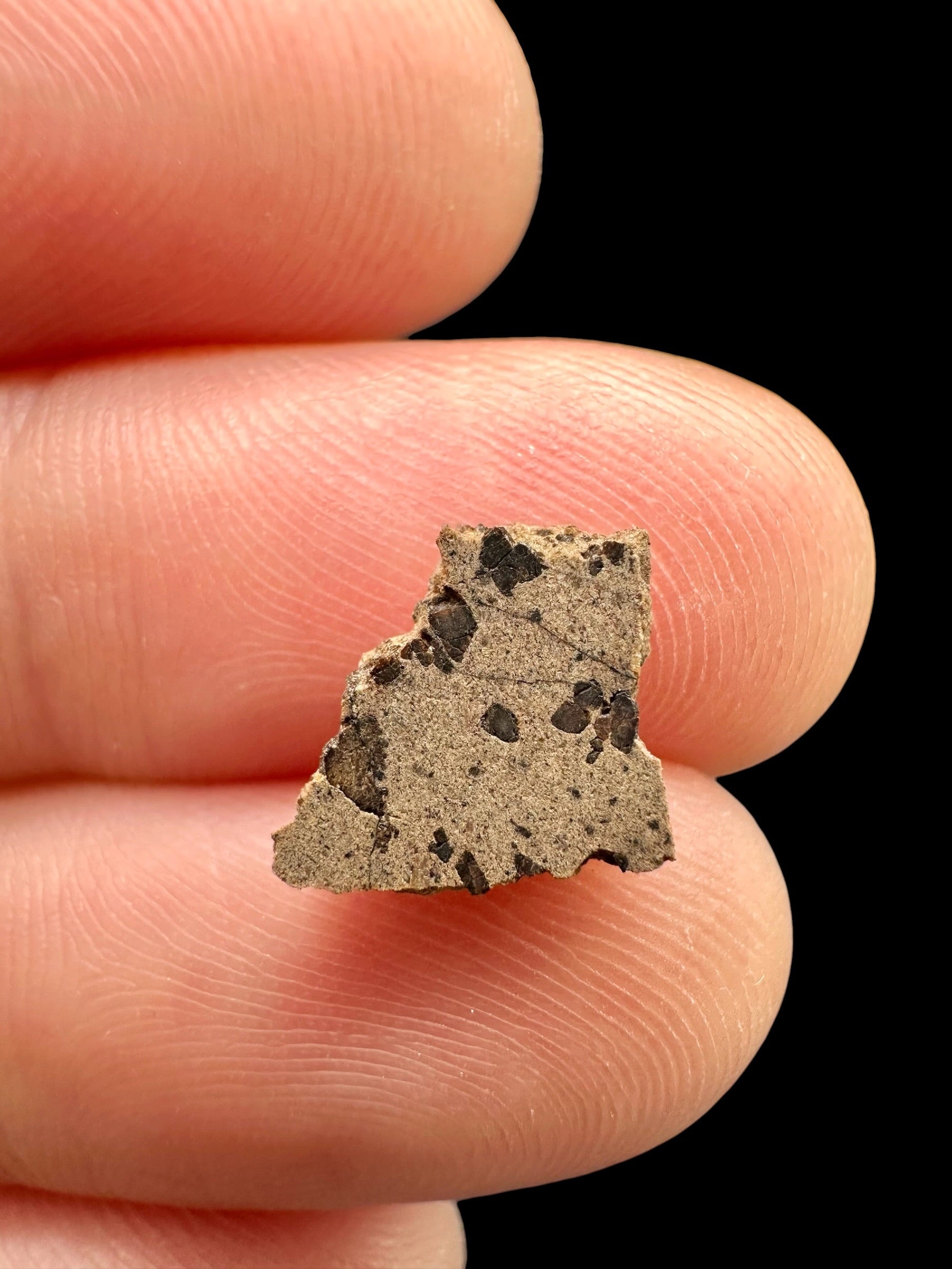 Meteorite Tarkint 001 – 0,3g – Mali - METR06