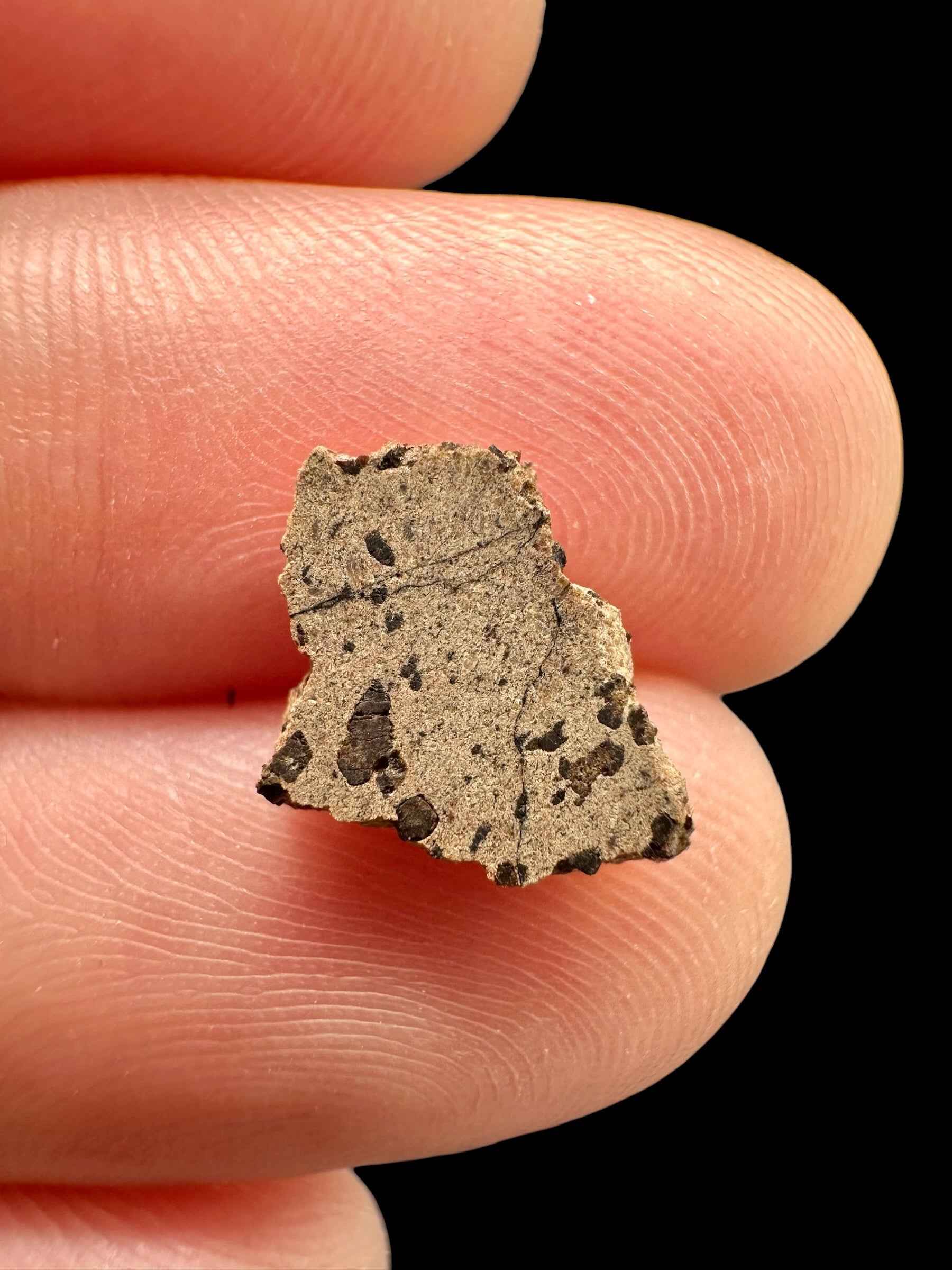 Meteorite Tarkint 001 – 0,3g – Mali - METR06