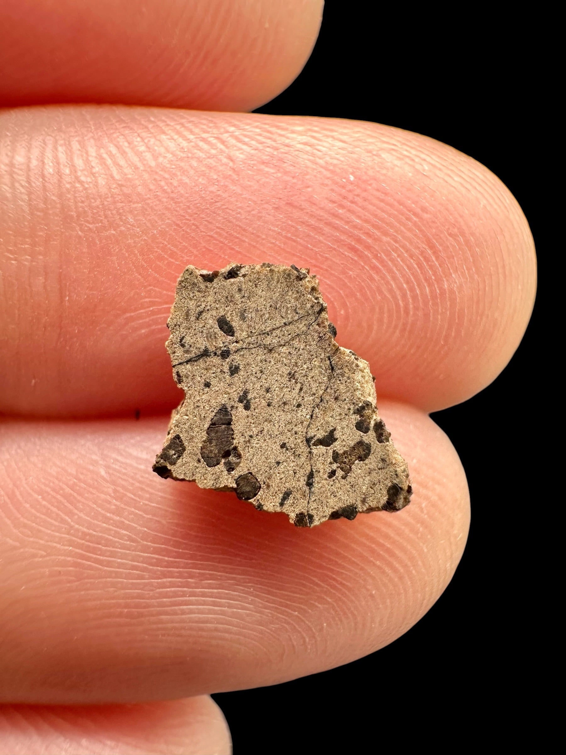 Meteorite Tarkint 001 – 0,3g – Mali - METR06