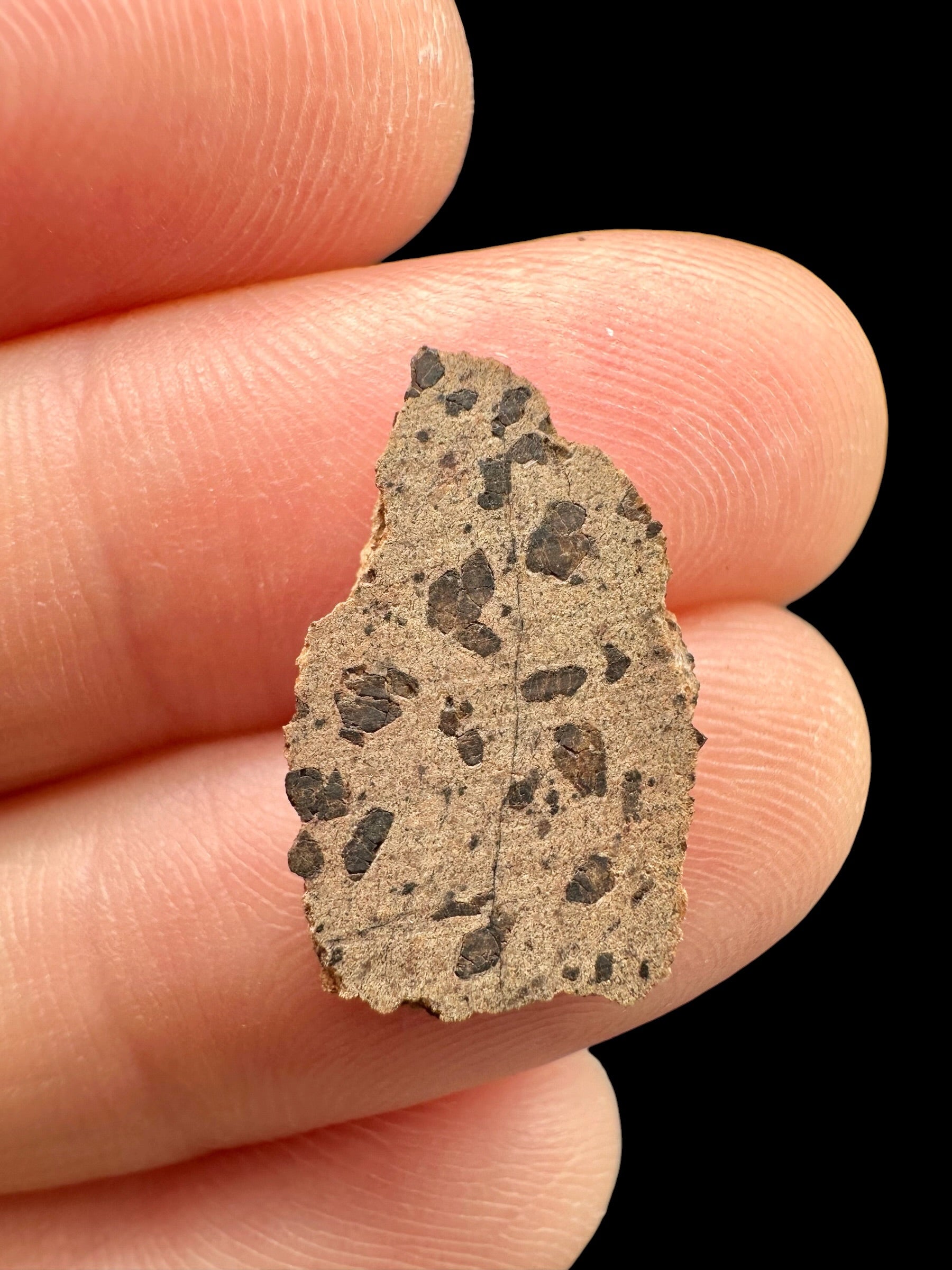 Meteorite Tarkint 001 – 0,7g – Mali - METR07
