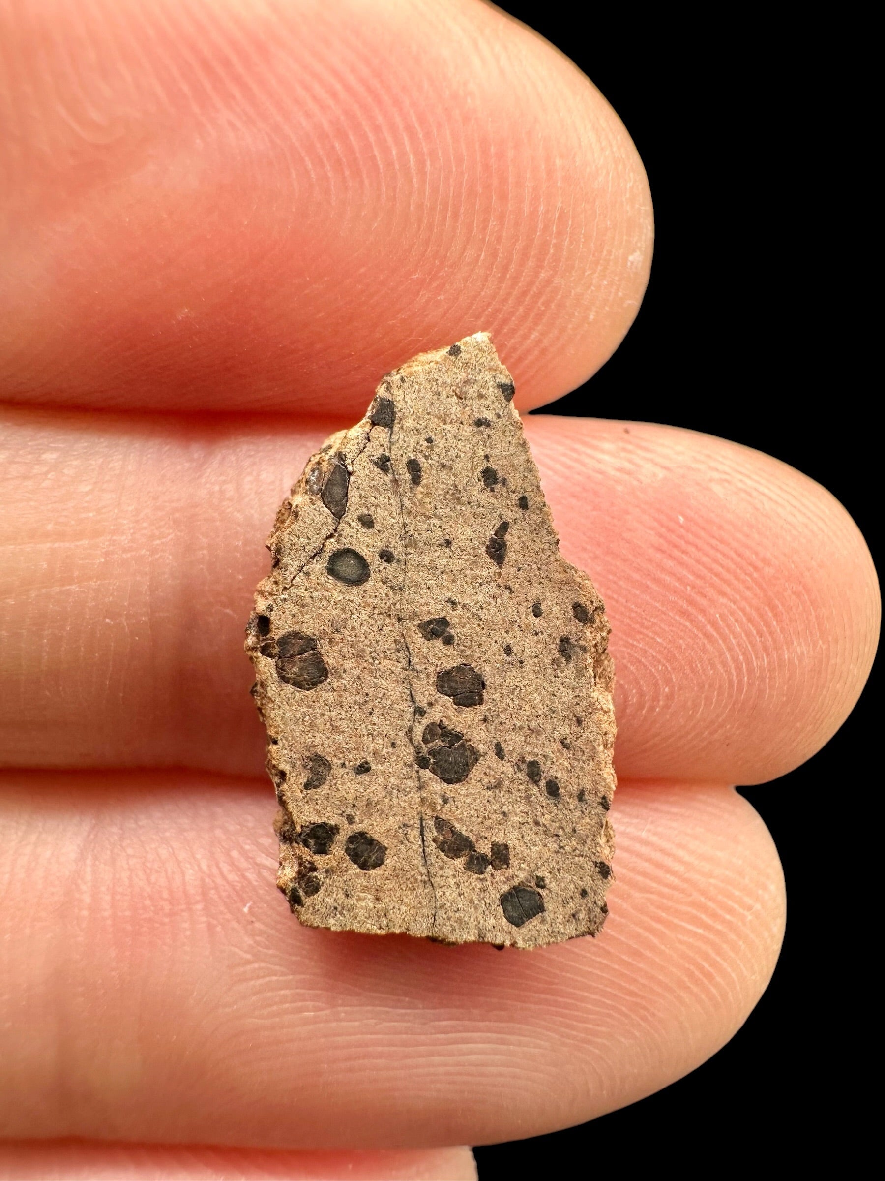Meteorite Tarkint 001 – 0,7g – Mali - METR07