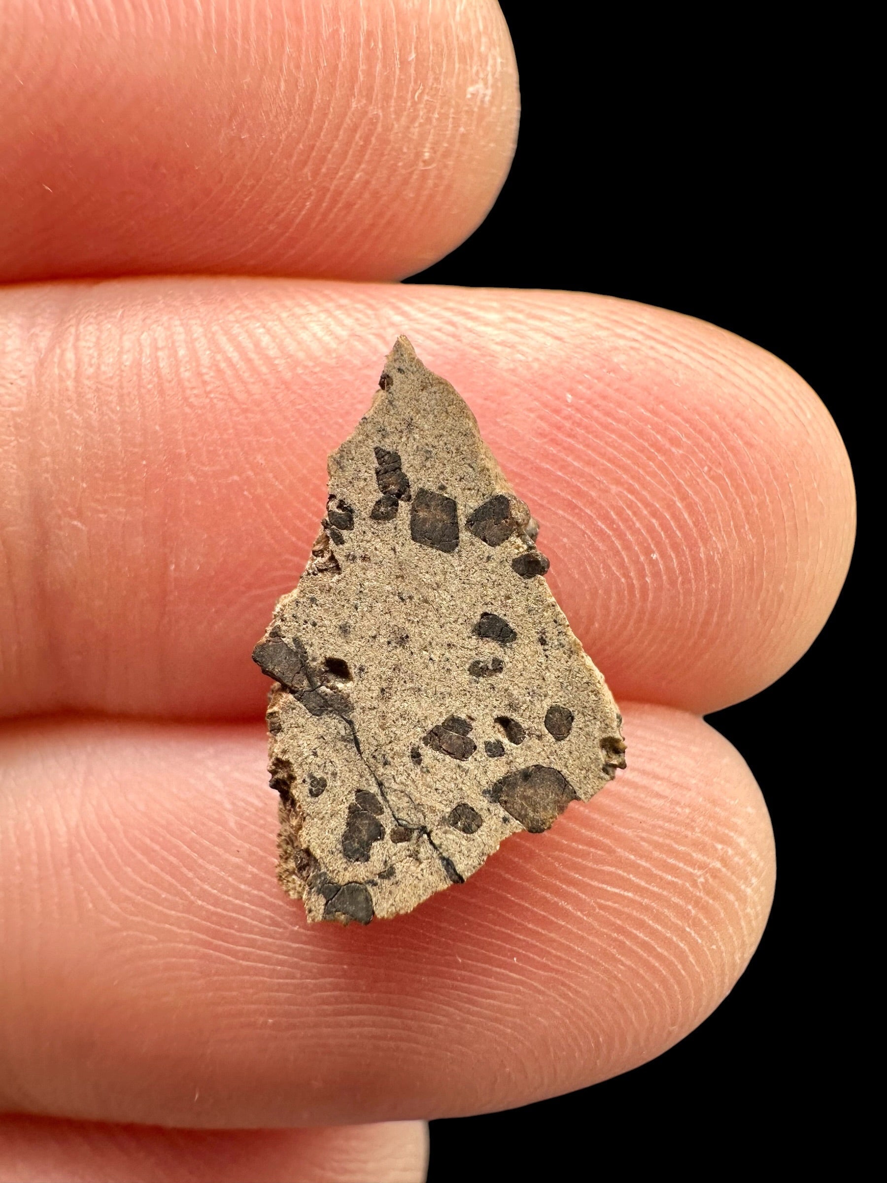 Meteorite Tarkint 001 – 0,3g – Mali - METR08
