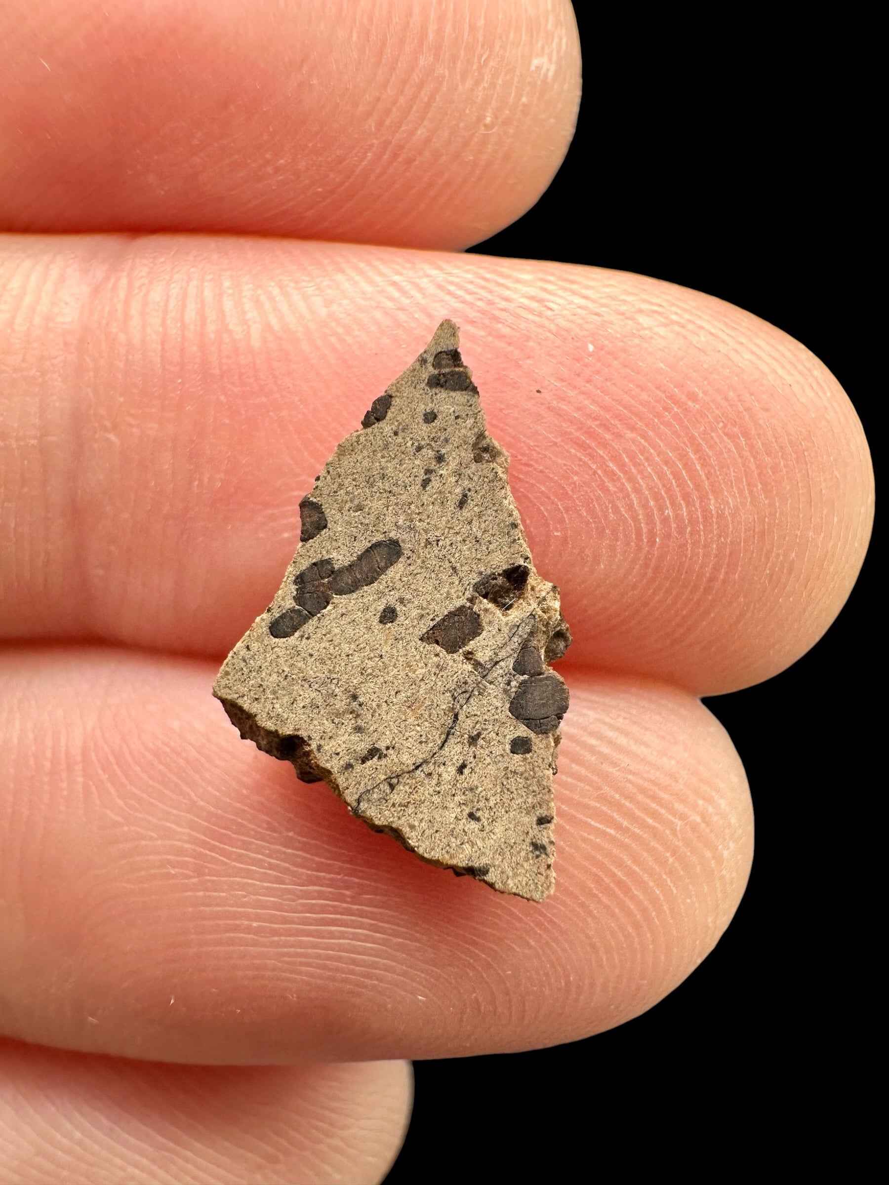 Meteorite Tarkint 001 – 0,3g – Mali - METR08