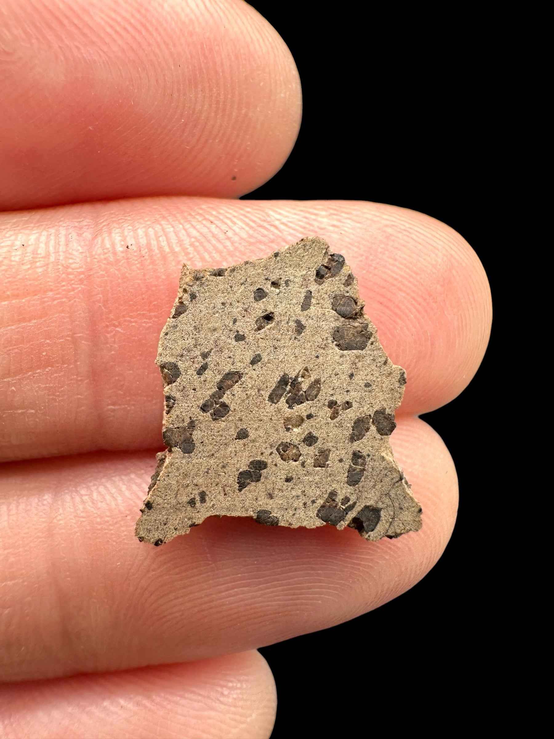 Meteorite Tarkint 001 – 0,8g – Mali - METR09