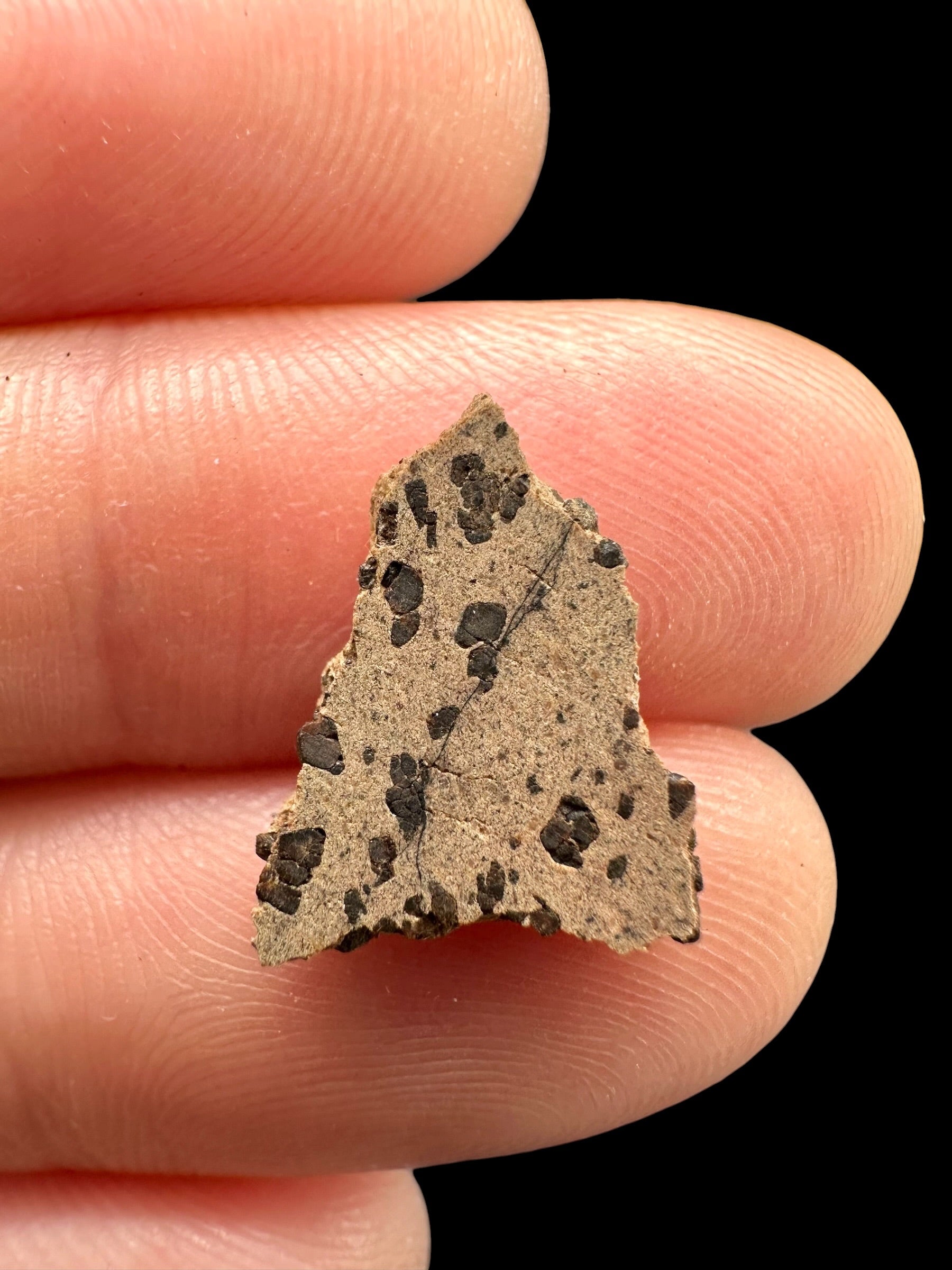 Meteorite Tarkint 001 – 0,4g – Mali - METR11