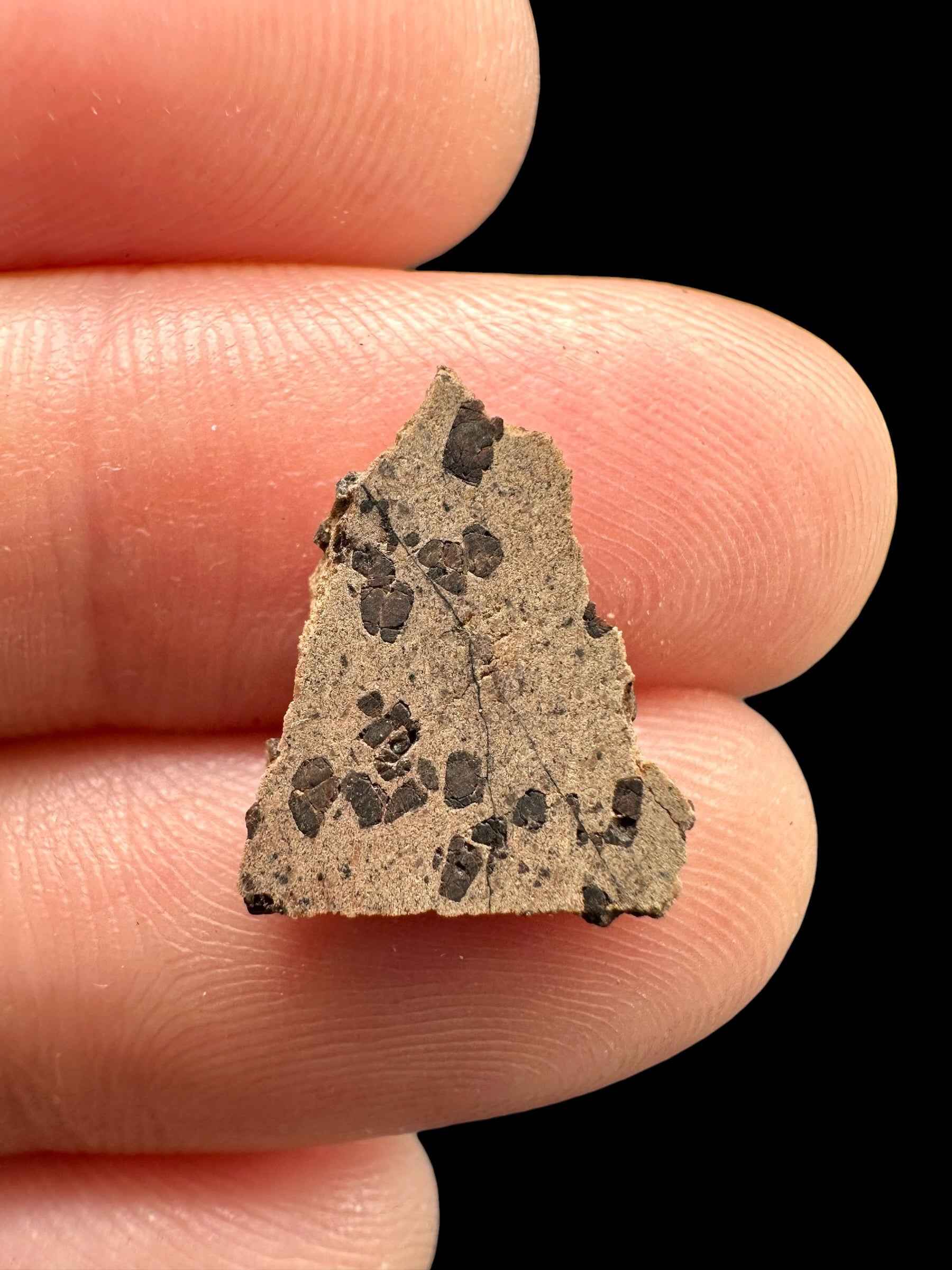 Meteorite Tarkint 001 – 0,4g – Mali - METR11