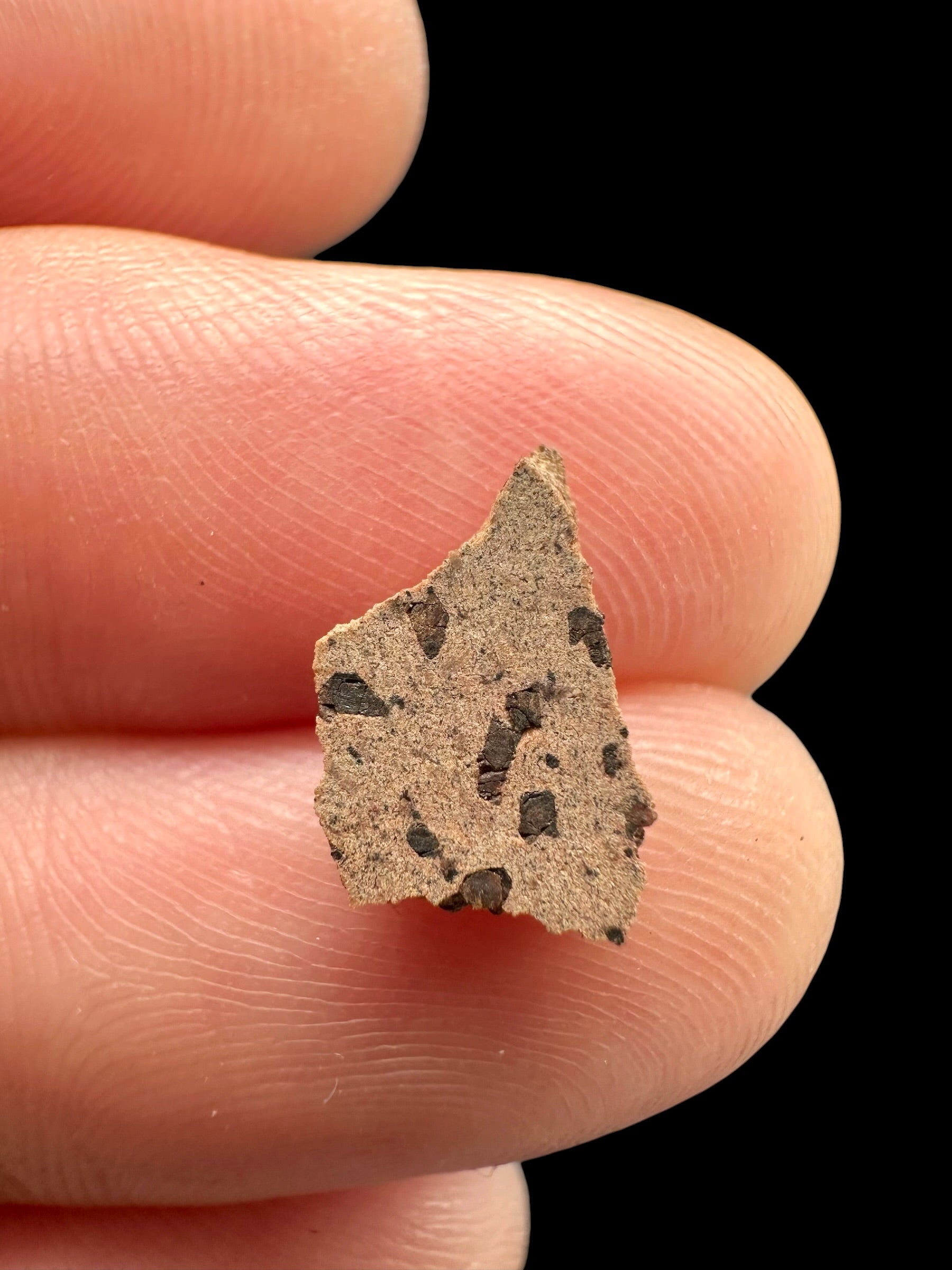 Meteorite Tarkint 001 – 0,2g – Mali - METR12