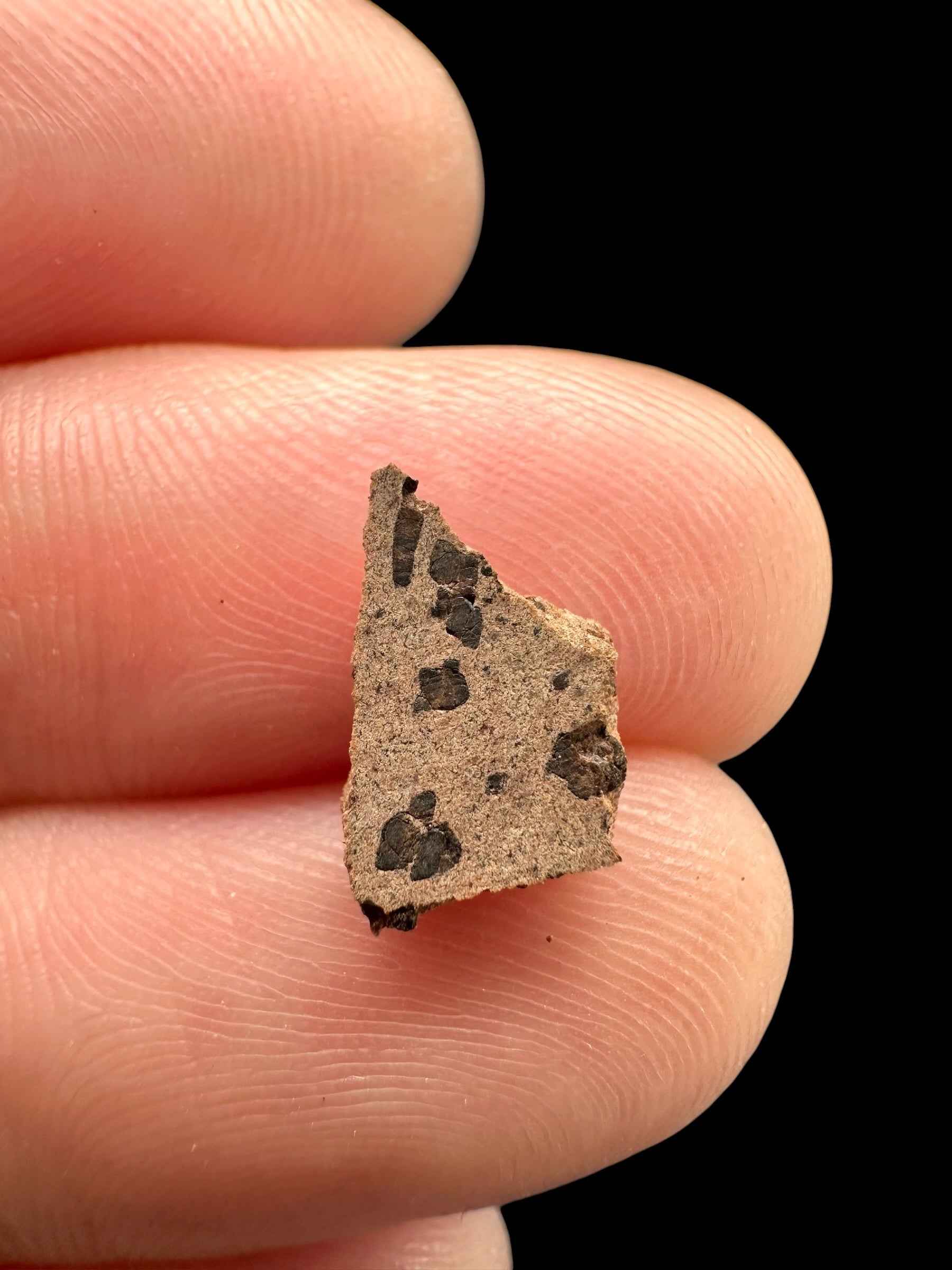 Meteorite Tarkint 001 – 0,2g – Mali - METR12