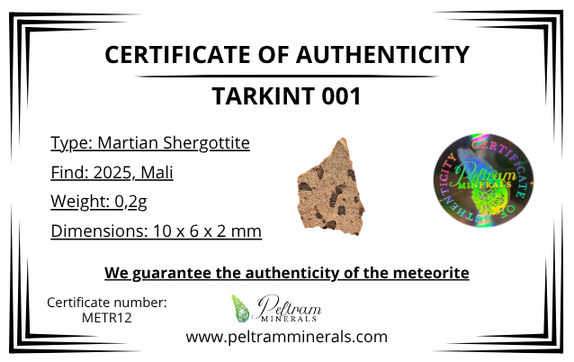 Meteorite Tarkint 001 – 0,2g – Mali - METR12