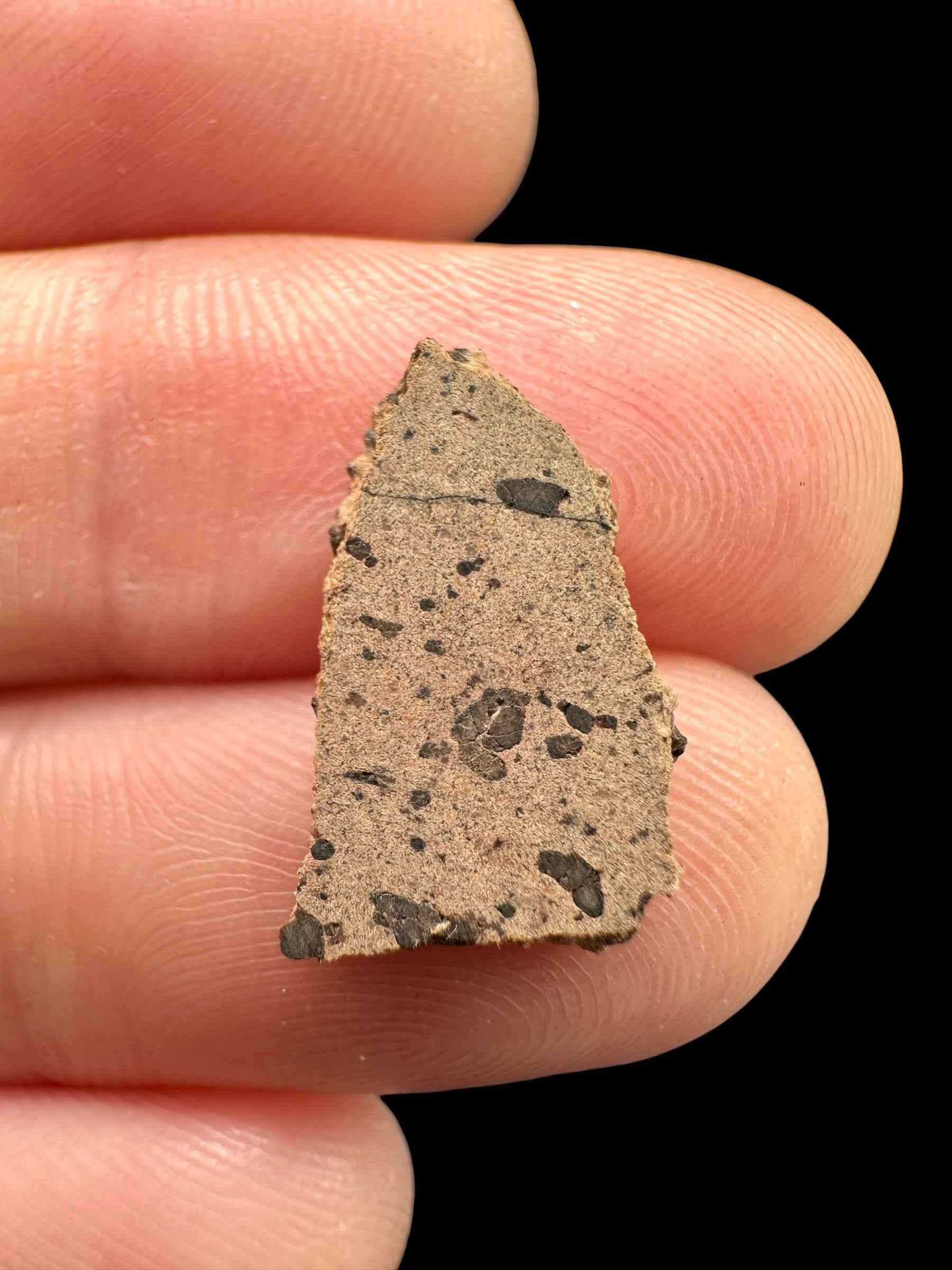Meteorite Tarkint 001 – 0,5g – Mali - METR13