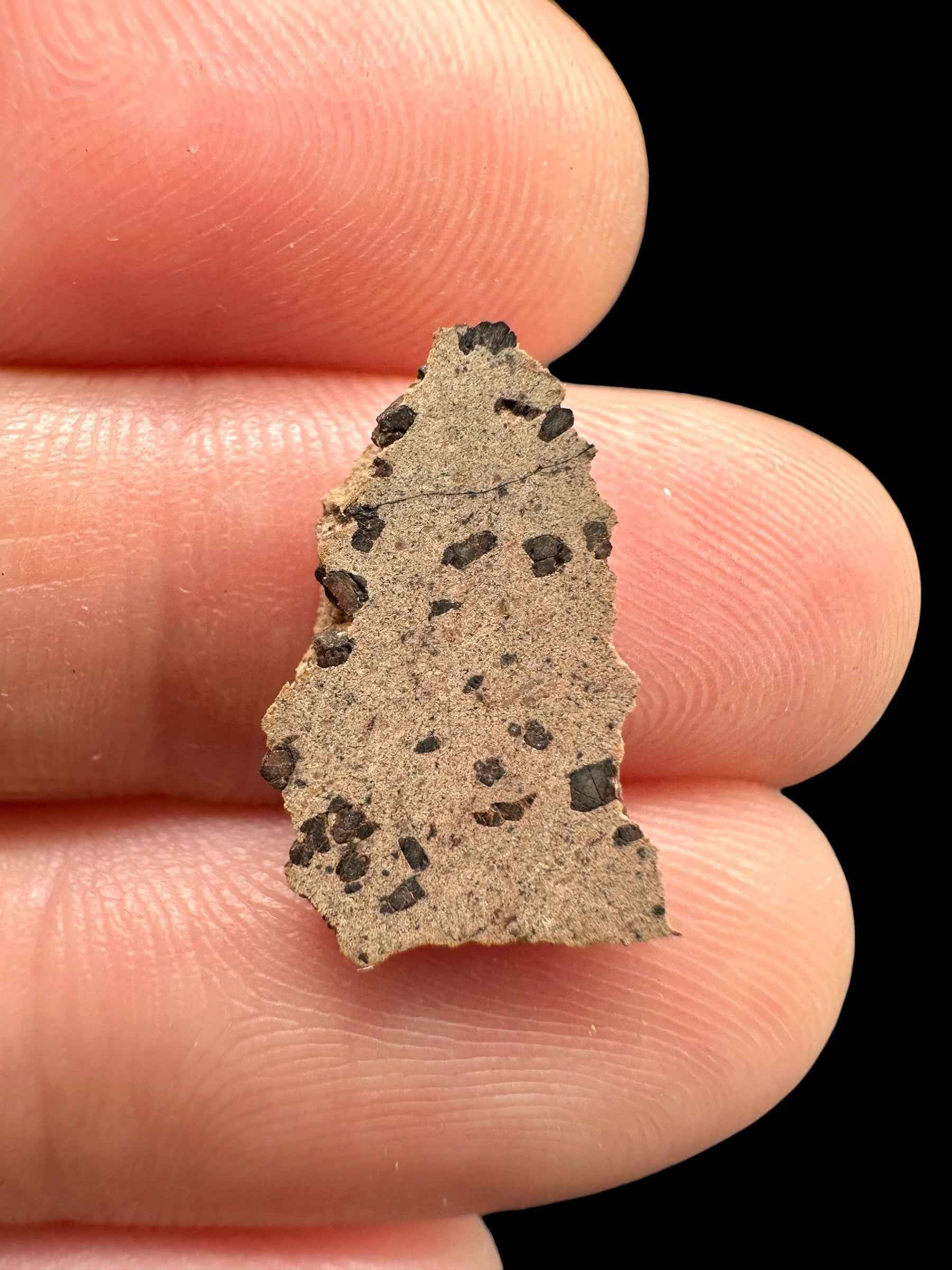 Meteorite Tarkint 001 – 0,5g – Mali - METR13