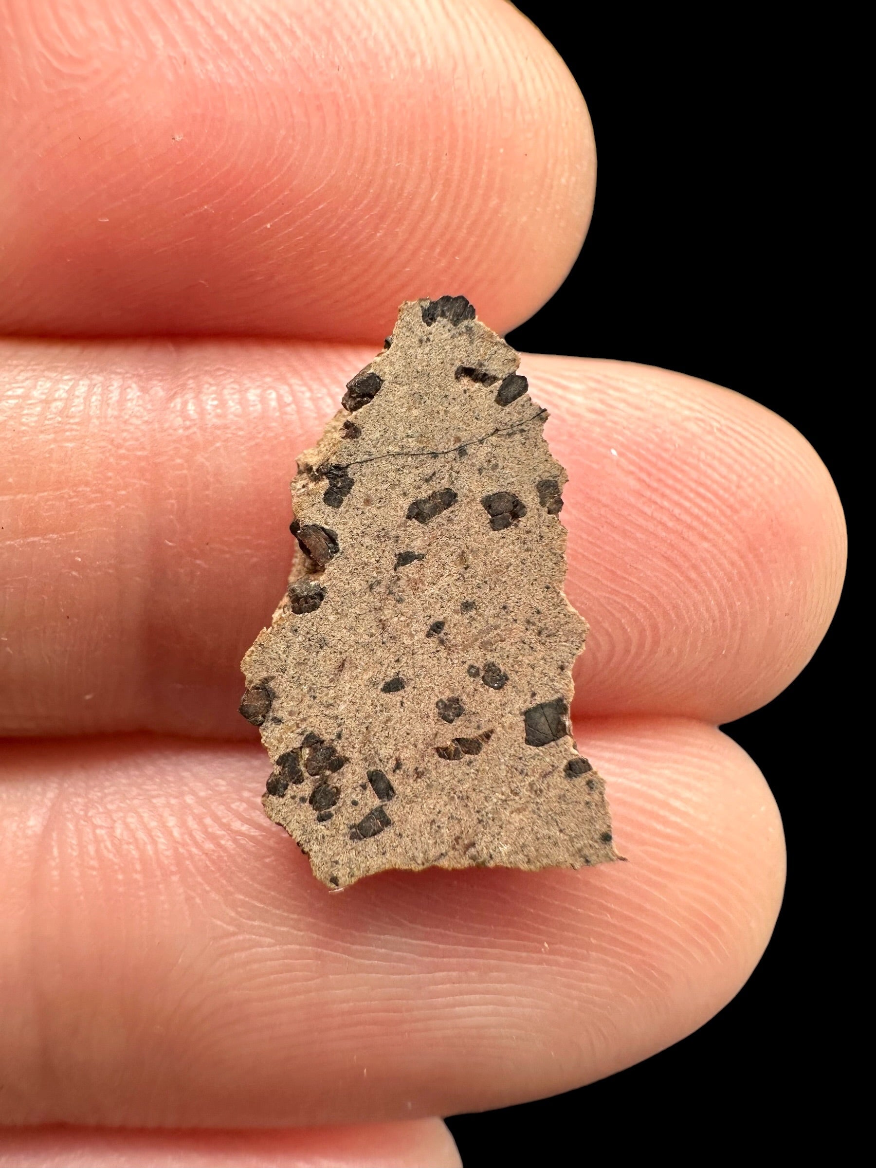 Meteorite Tarkint 001 – 0,5g – Mali - METR13