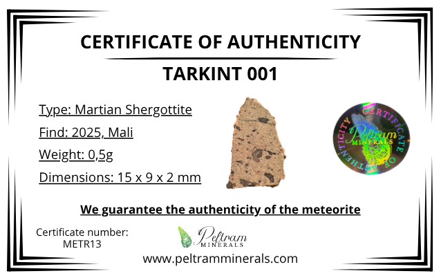Meteorite Tarkint 001 – 0,5g – Mali - METR13