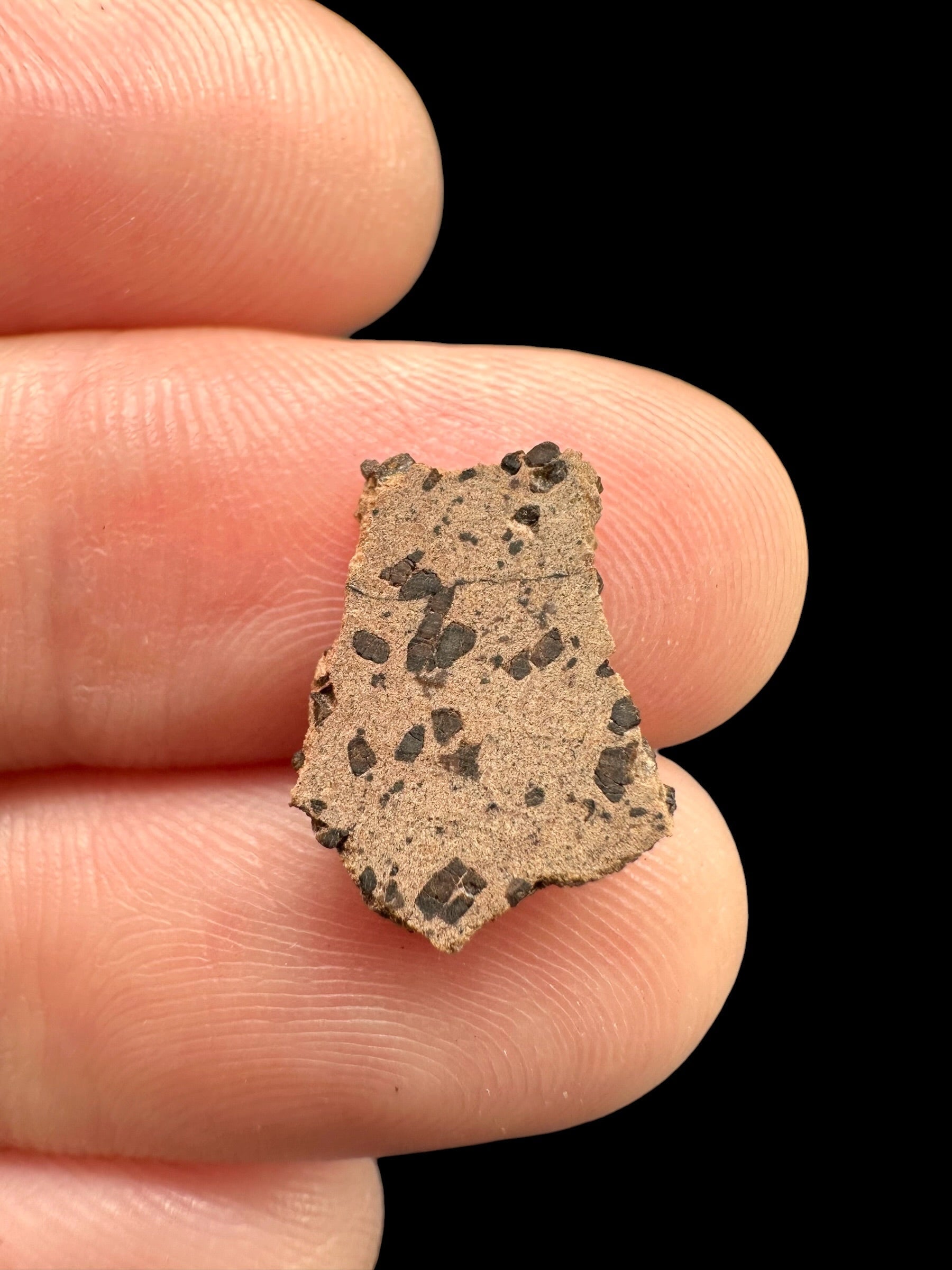 Meteorite Tarkint 001 – 0,5g – Mali - METR14